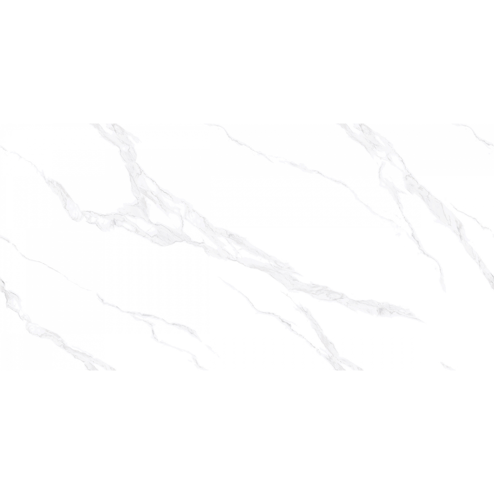 Плитка Absolut Gres Carrara Bianco AB 3116G 60х120 см