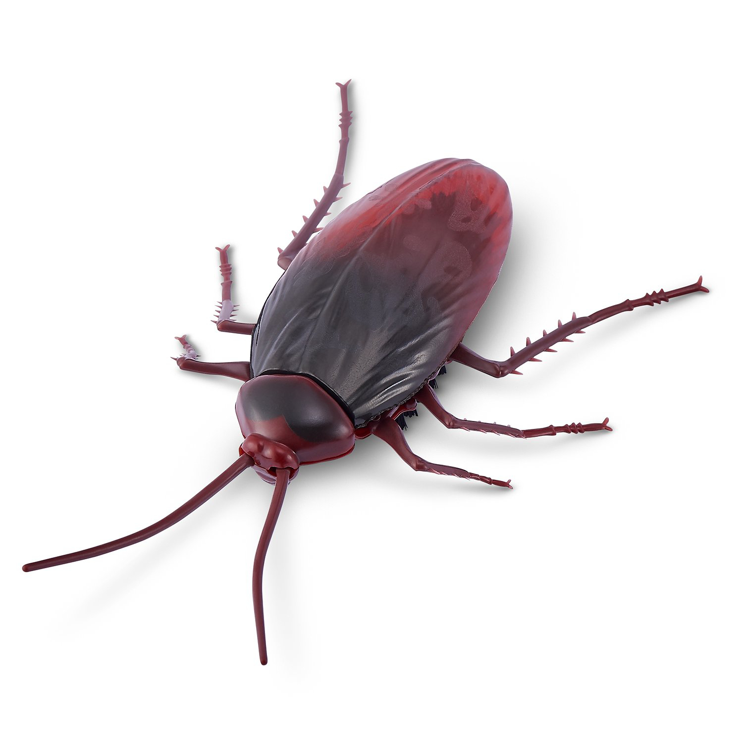 фото Интерактивная игрушка zuru robo alive таракан