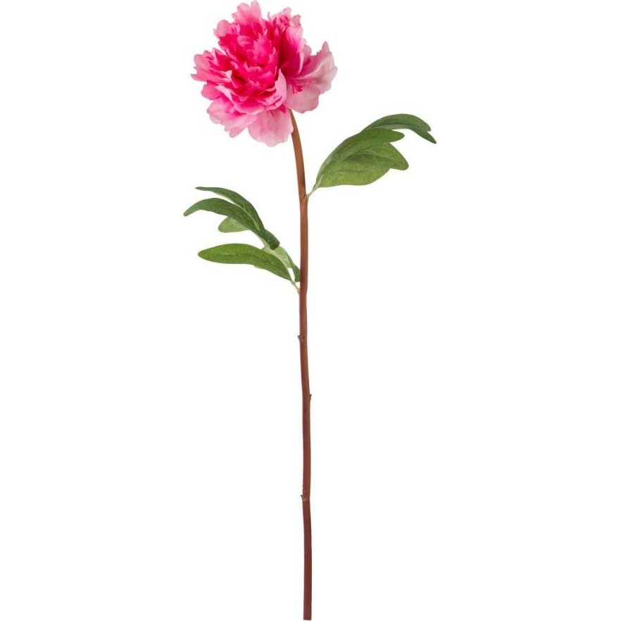 Цветок искусственный Glasar пион 20х8х47 см папоротник конэко о искусственный высота 85 см ширина 65 см