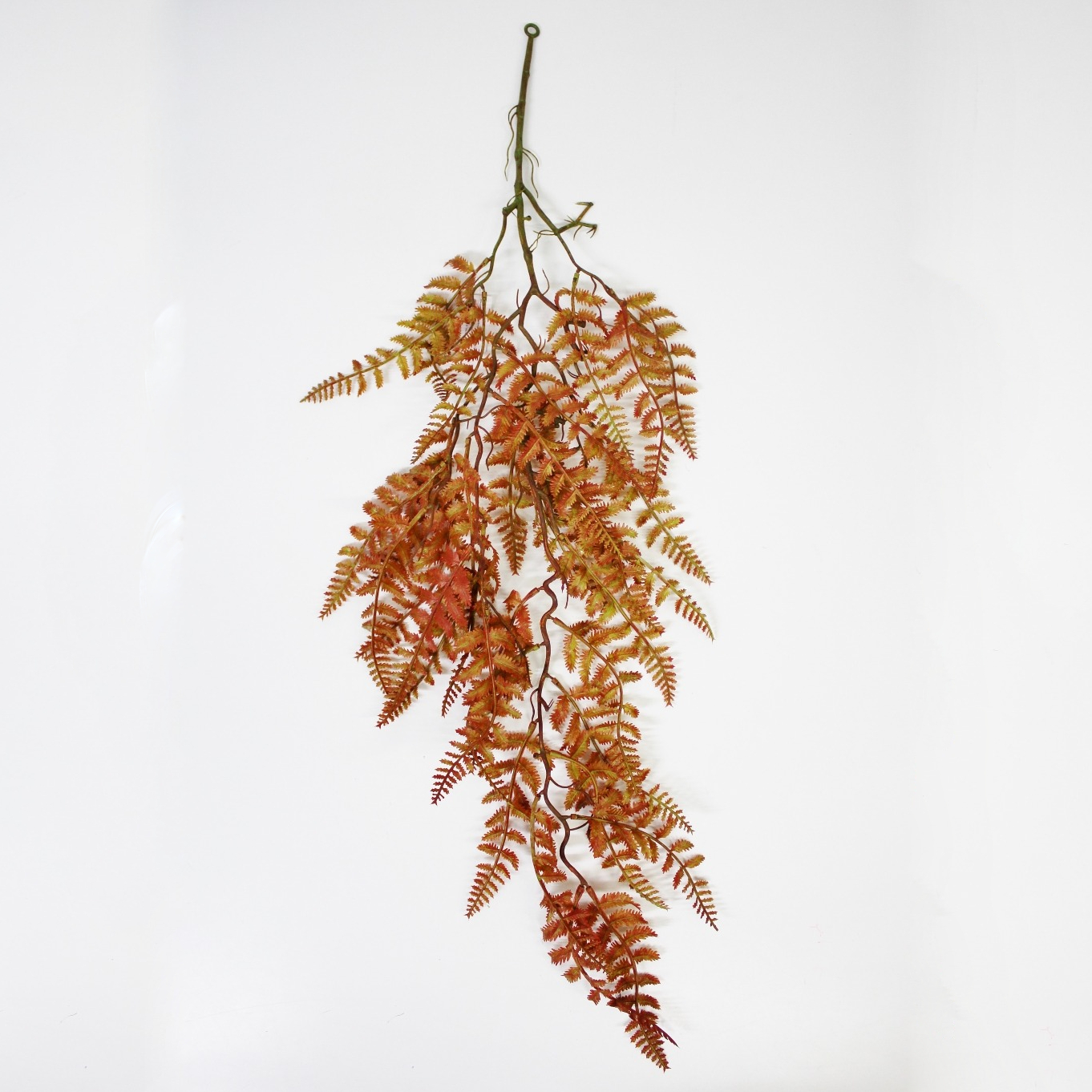 Даваллия Конэко-О ампельная 5551094, 90 см растение искусственное конэко о церопегия ампельная высота 90 см