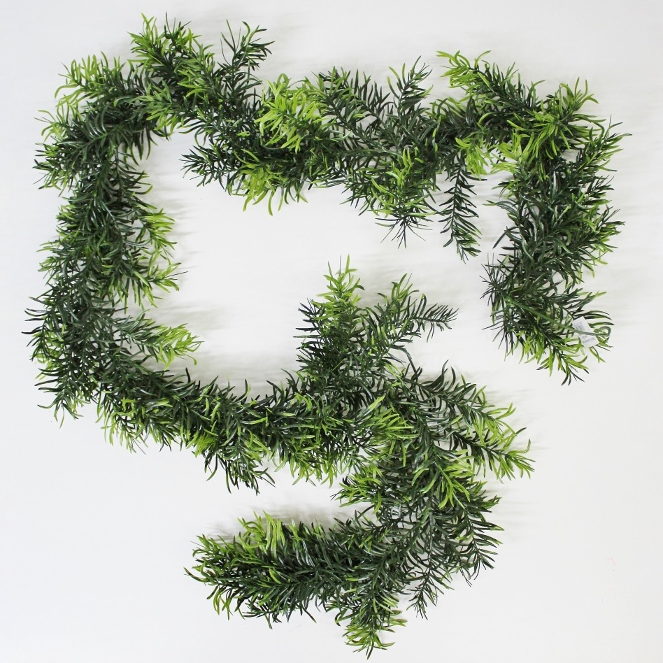 Лиана аспарагус Конэко-О декоративная 5551084, 180 см кпб лиана зеленый р 2 0 сп евро
