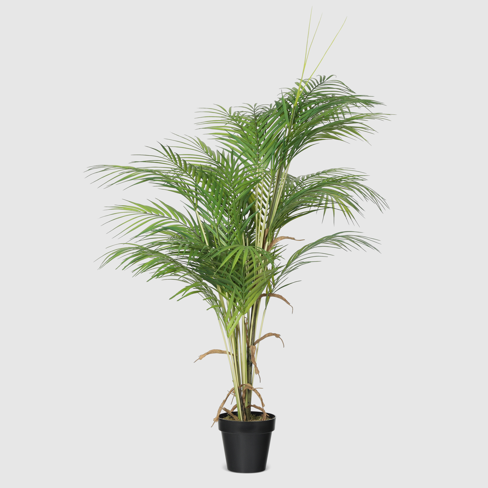 

Пальма искусственная Конэко-О-5551082 в кашпо 115 см, Зеленый