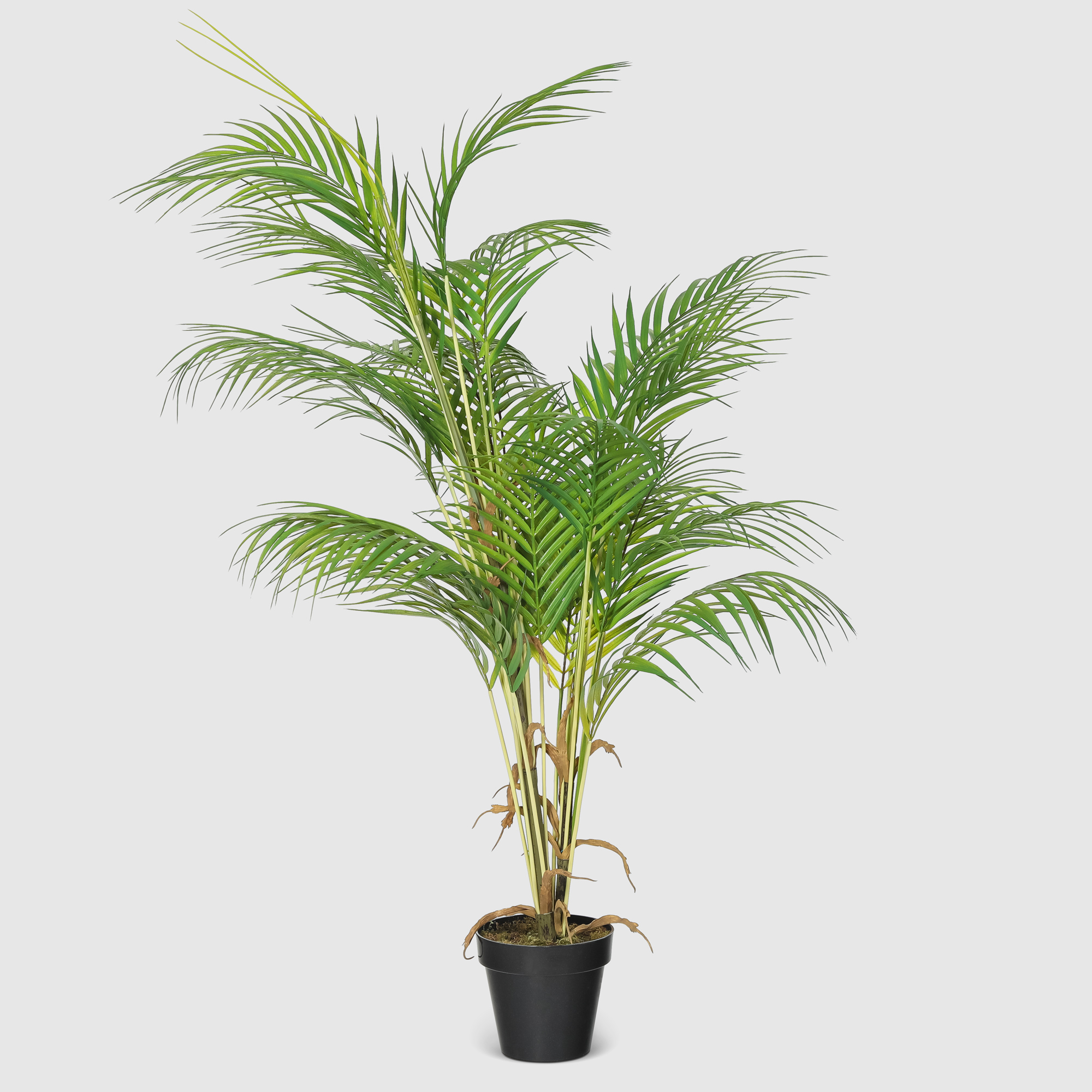 Пальма искусственная Конэко-О-5551081 в кашпо 115 см веточка с осокой конэко о 555