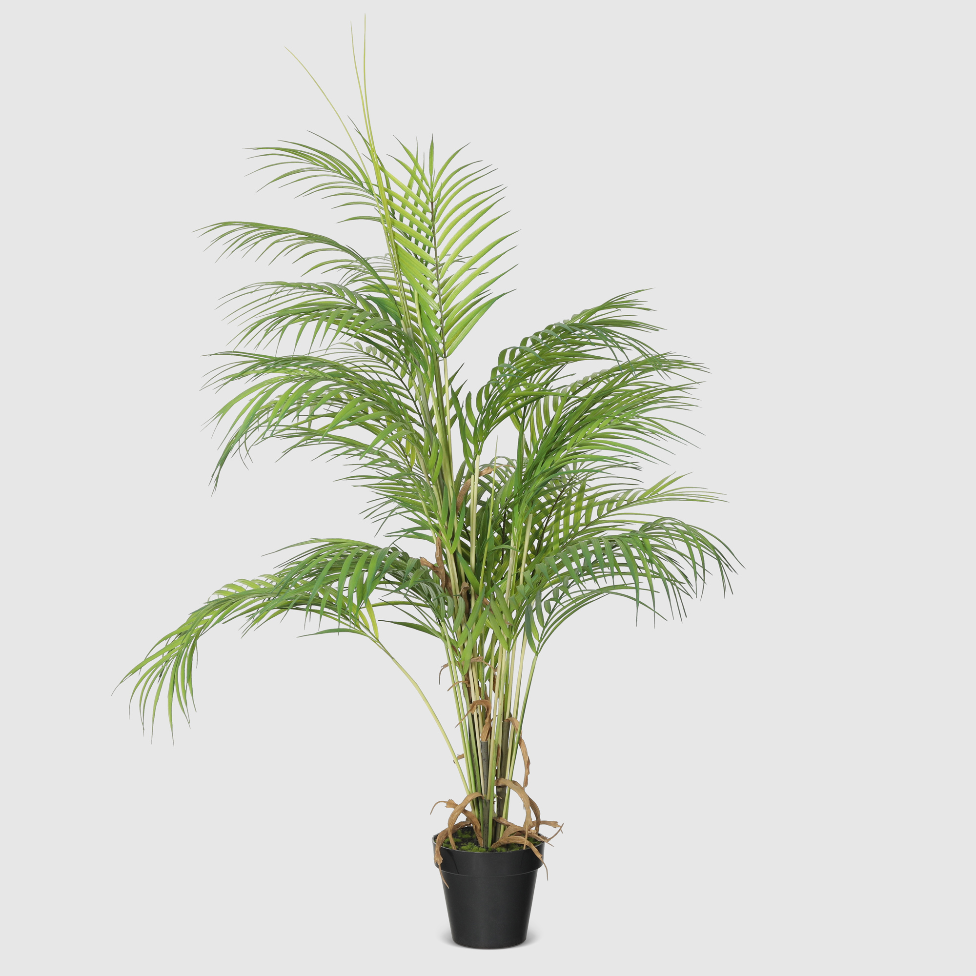 Пальма искусственная Конэко-О-5551080 в кашпо 115 см веточка конэко о 13718 100 см
