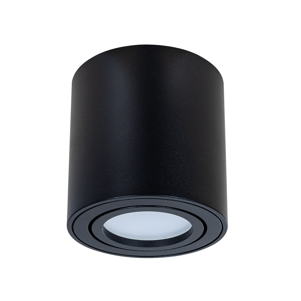 Светильник потолочный Arte Lamp A1513PL-1BK цена и фото