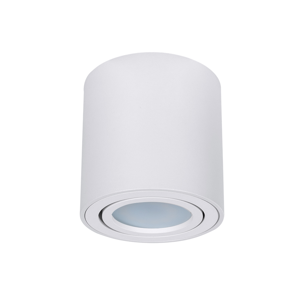 цена Светильник потолочный Arte Lamp A1513PL-1WH
