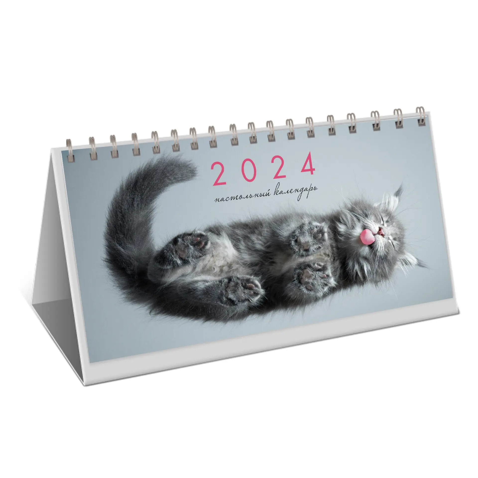Календарь на 2024 Канц-Эксмо настольный котики