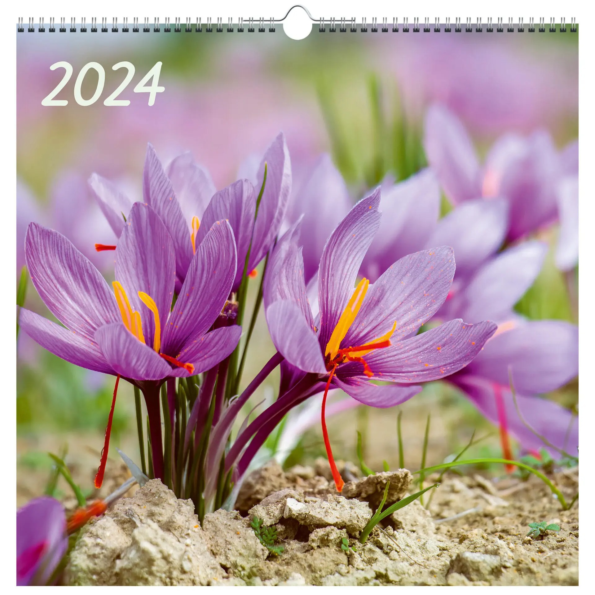 Календарь на 2024 Канц-Эксмо 32х32 цветы
