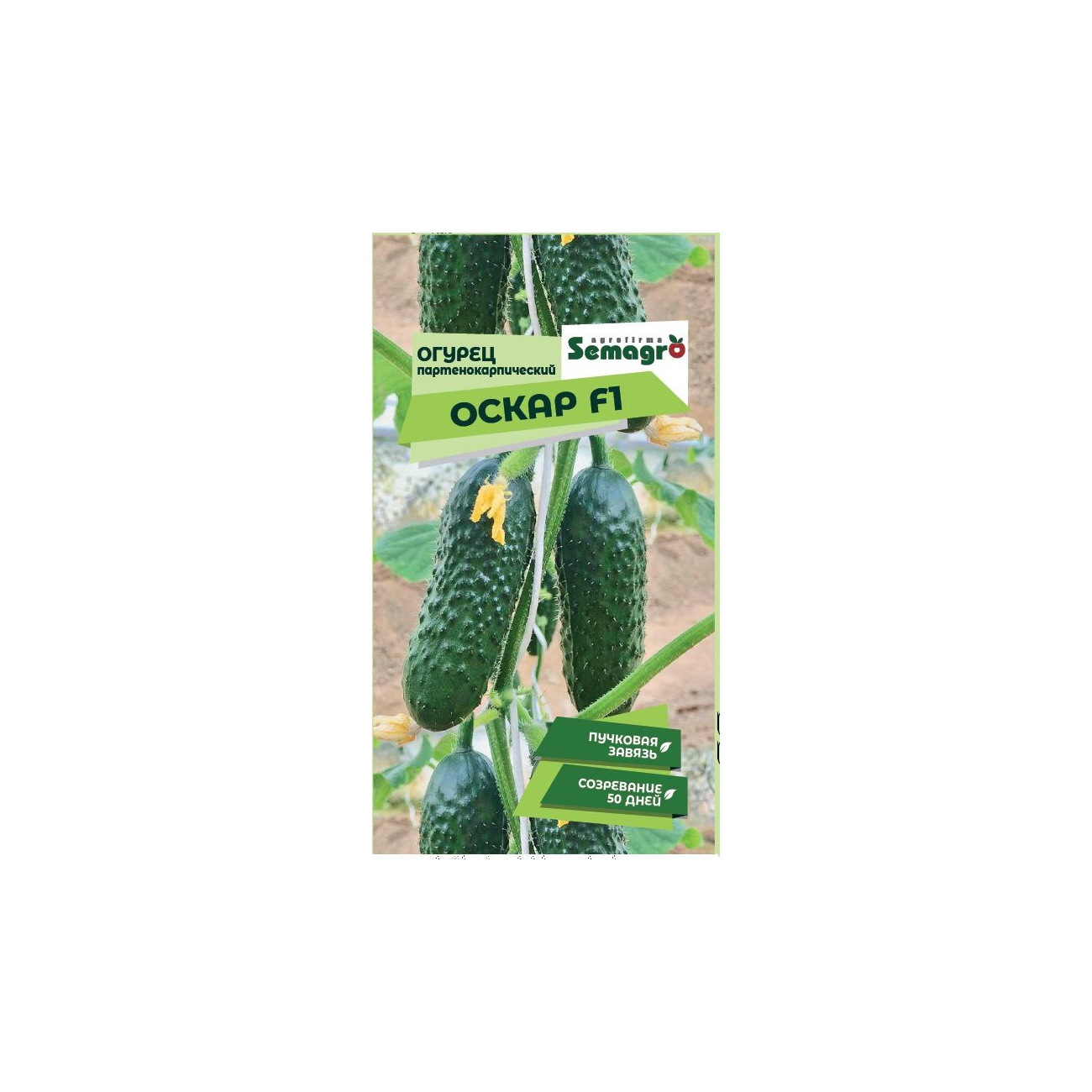 Семена Semagro огурец оскар f1 стимулятор плодообразования завязь для капусты