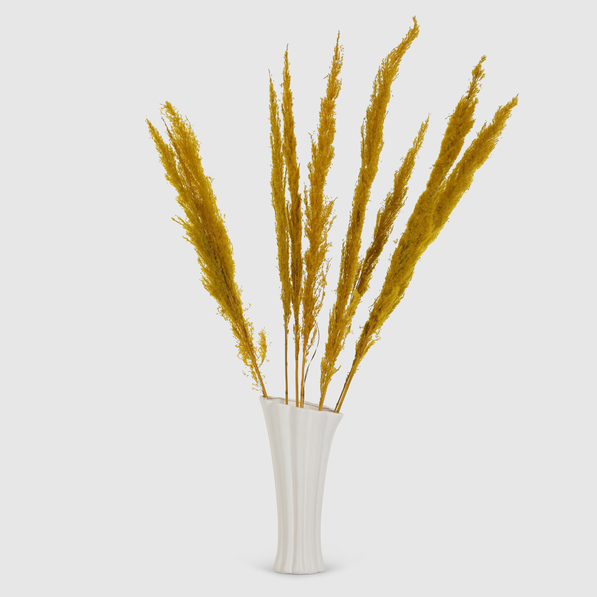 Сухоцветы Конэко-О IJ0052 90-100 см веточка конэко о 13718 100 см