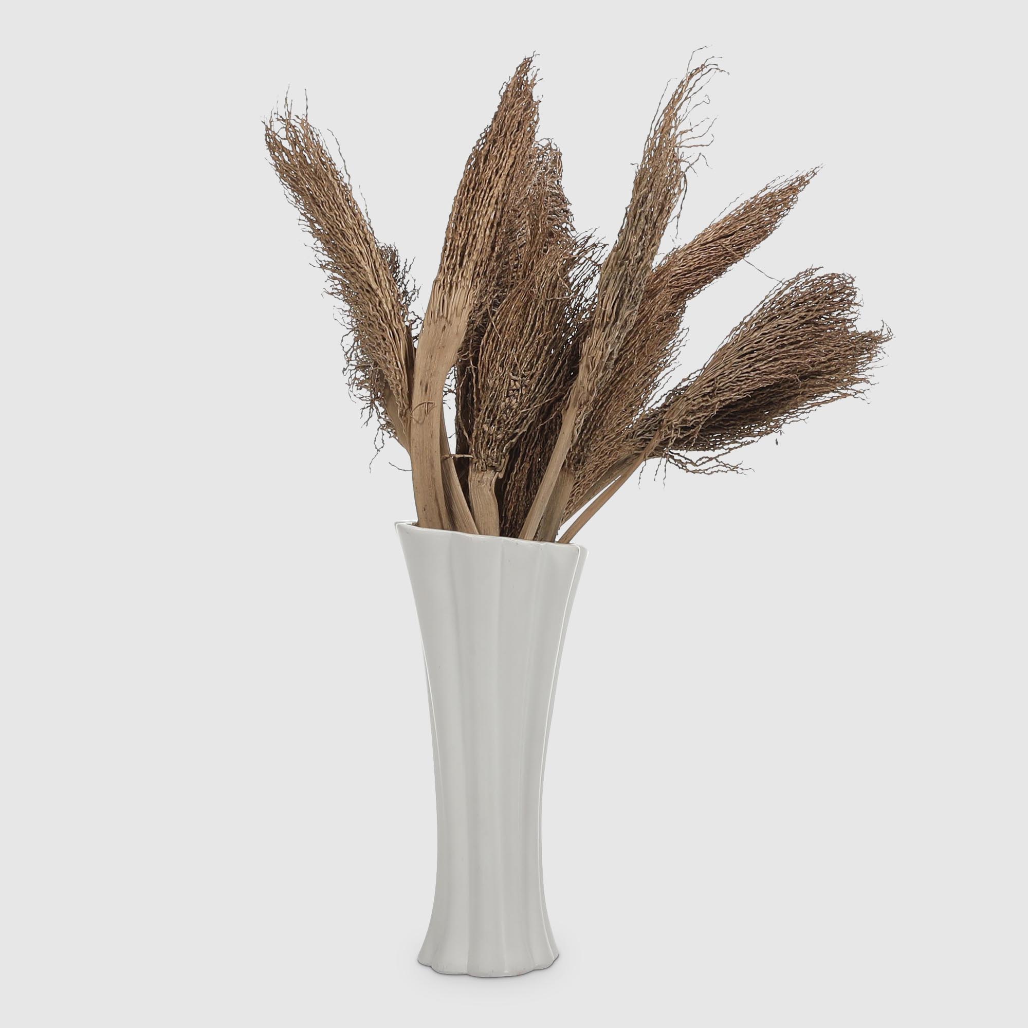 

Сухоцветы Dekor pap IJ0063 25-35 см, Коричневый