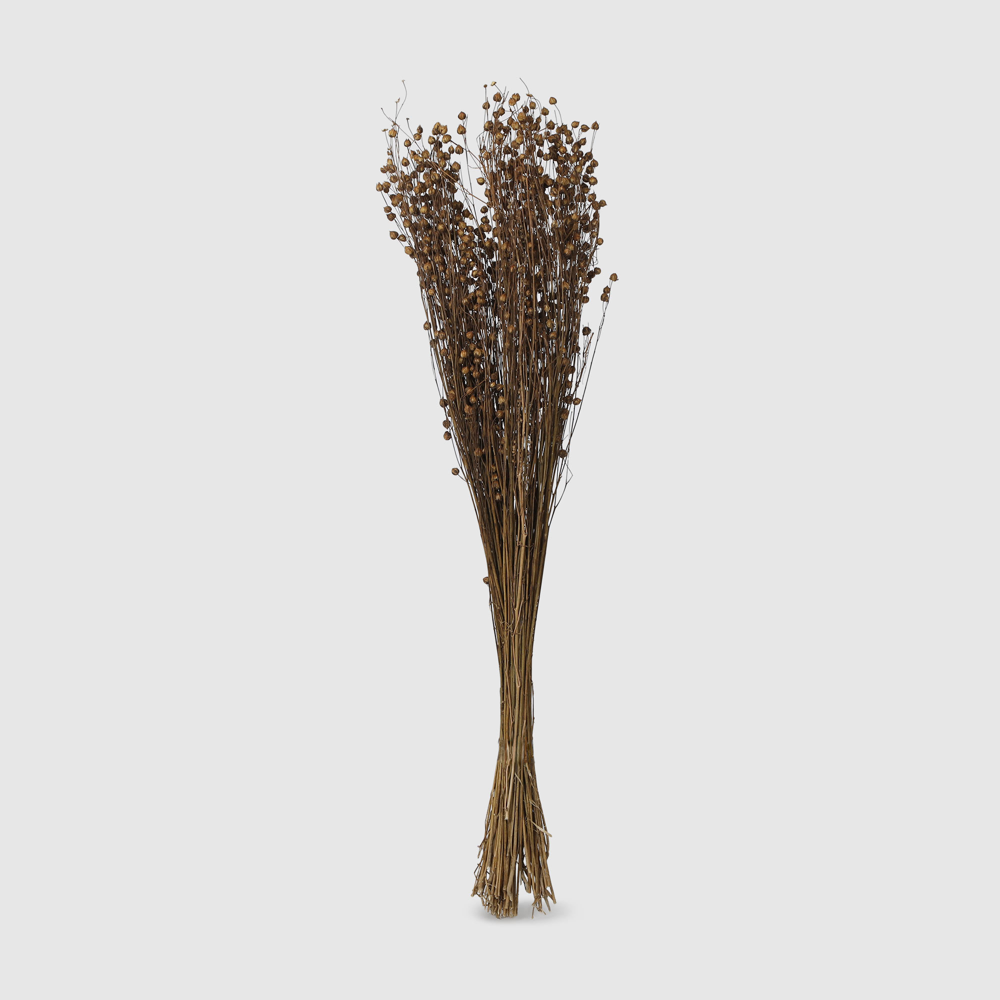 Сухоцветы Dekor pap 40-70 см