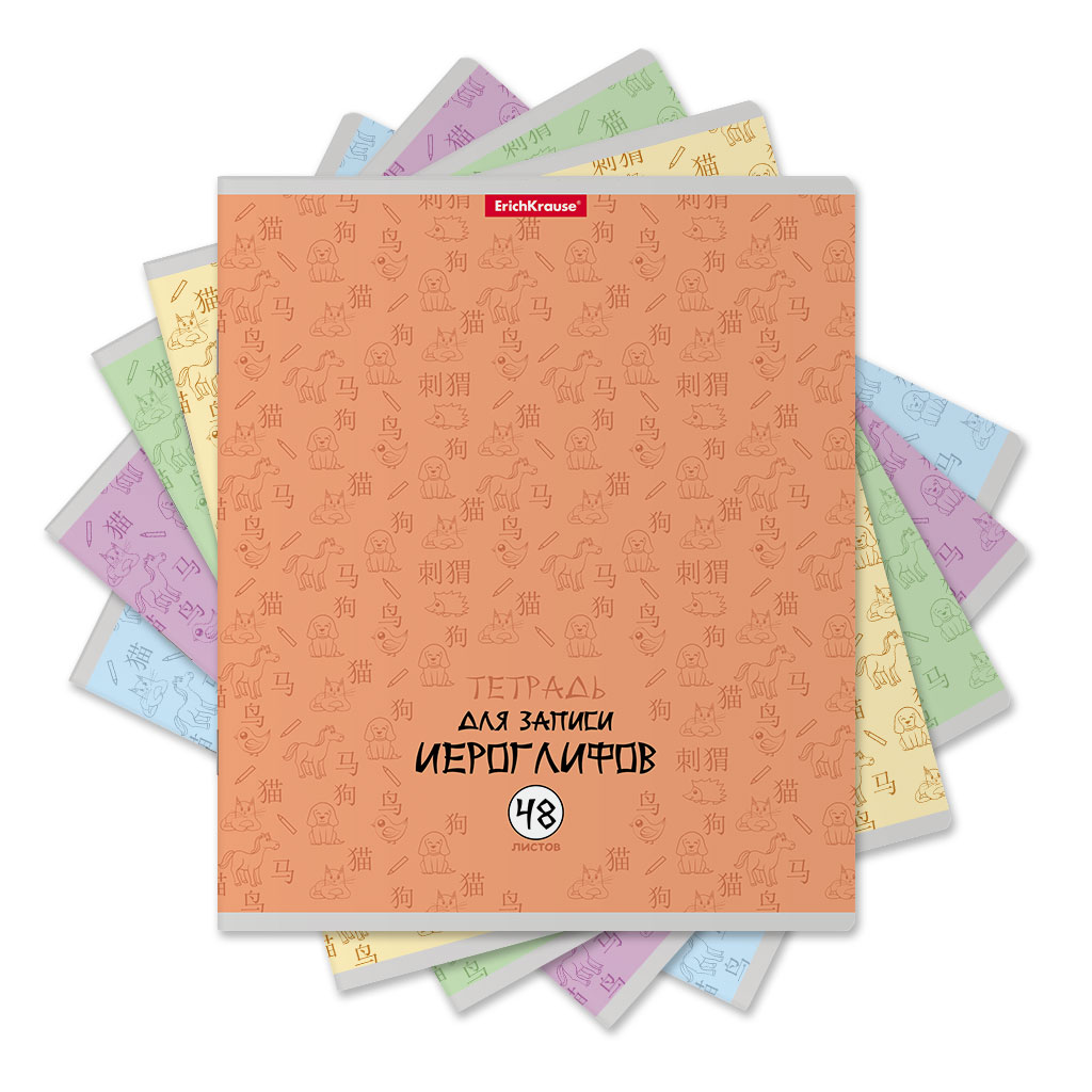 Тетрадь для записи иероглифов Erich Krause Китайская грамота 48 листов в ассортименте книга для записи кулинарных рецептов а5 48 листов