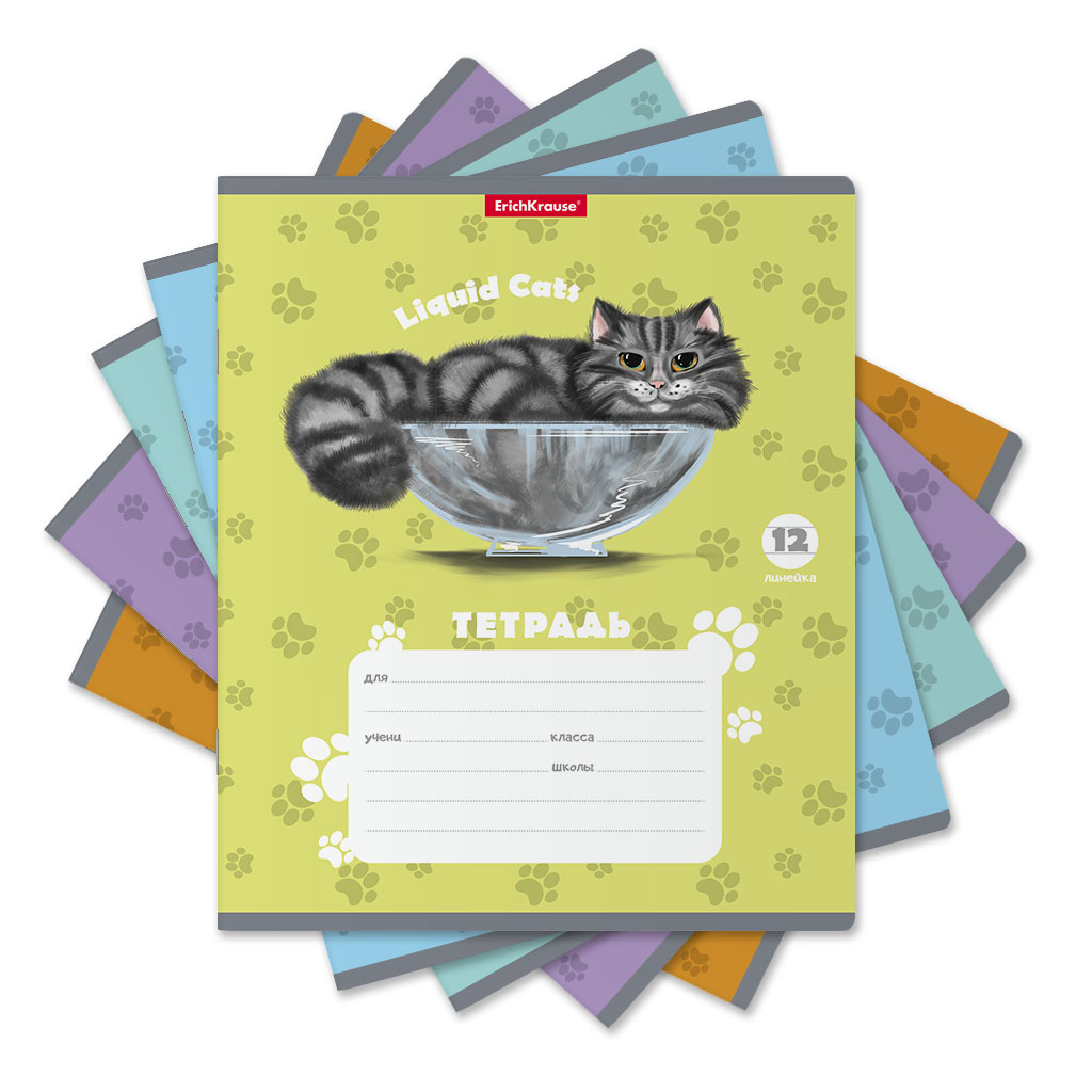 Тетрадь школьная ученическая Erich Krause Жидкие коты в линейку A5+ 12 листов в ассортименте картон ной а4 8 листов 8 ов