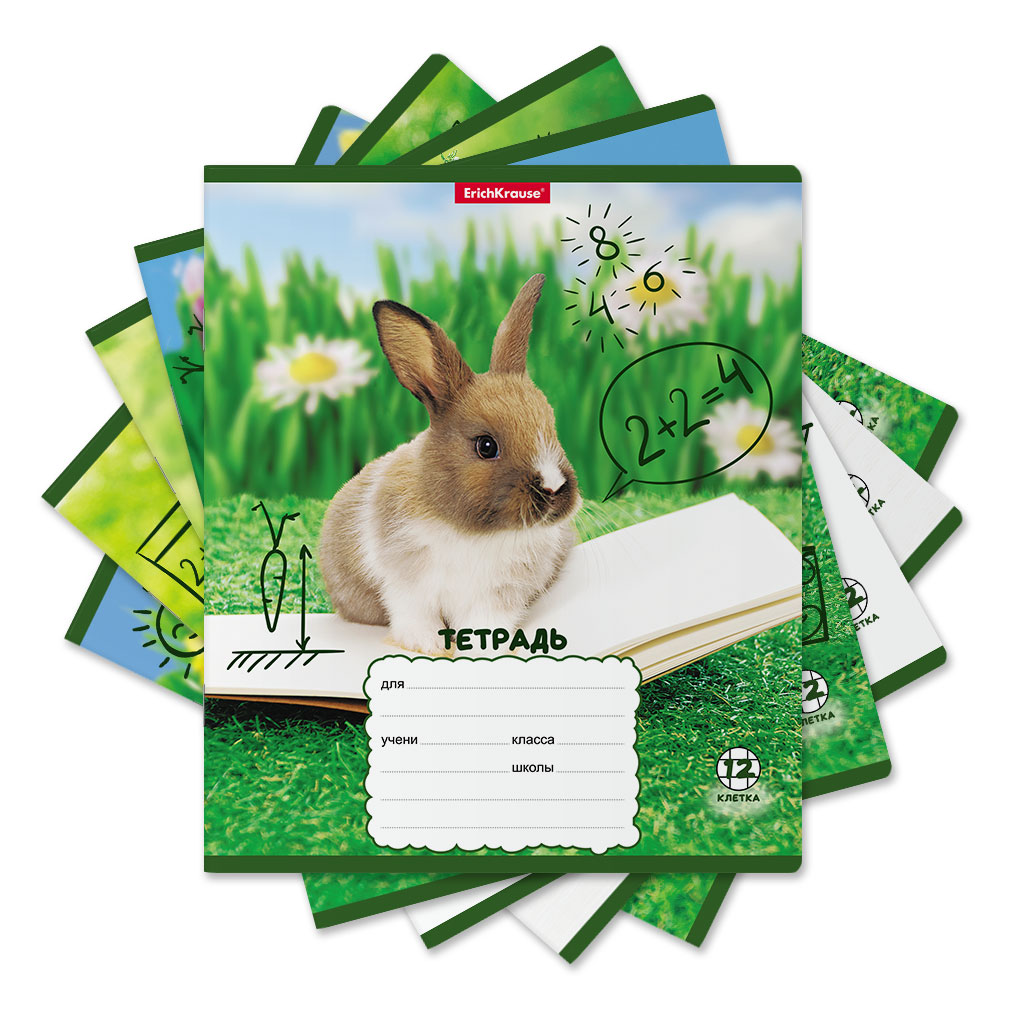 Тетрадь школьная ученическая Erich Krause Кролики в клетку A5+ 12 листов в ассортименте тетрадь для скетчей формат а5 16 листов плотность 100 г м2