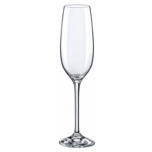 Набор бокалов для шампанского Rona Yarra 205 мл 6 шт, цвет прозрачный - фото 1