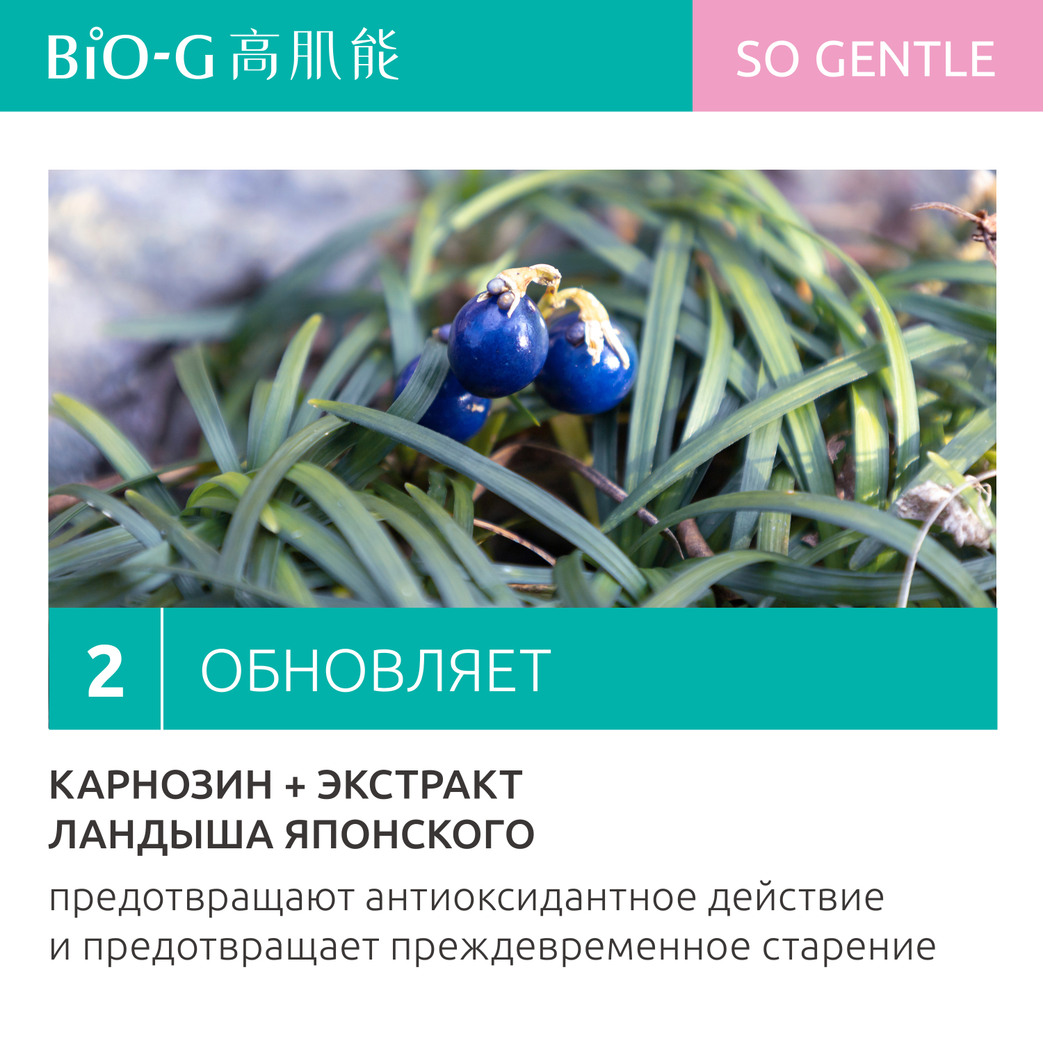 Крем для лица Bio-G GENTLE восстанавливающий для чувствительной кожи 50 г - фото 4