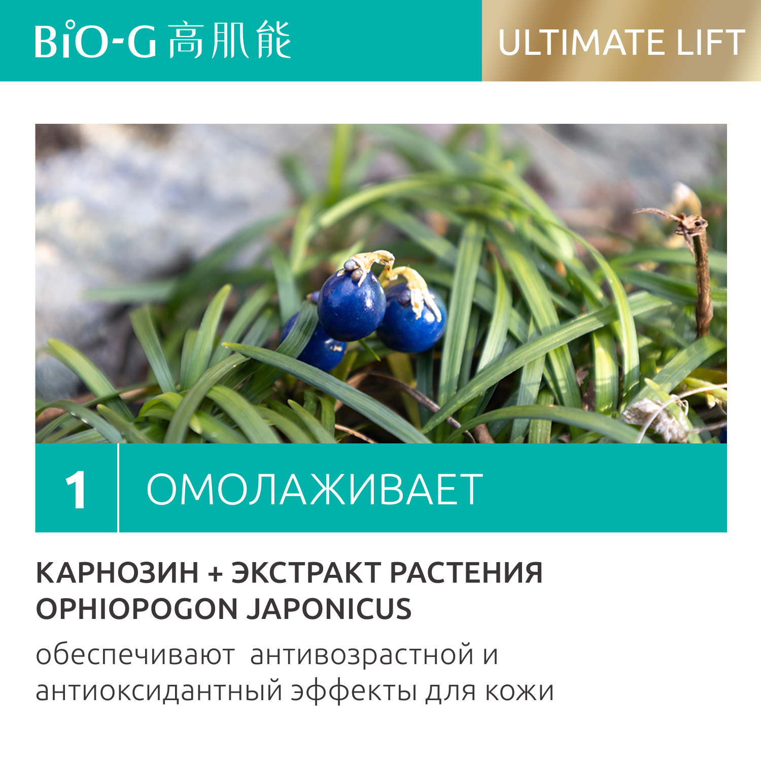 Крем для лица Bio-G ULTIMATE LIFT anti-age омолаживающий, увлажняющий 50 г - фото 3