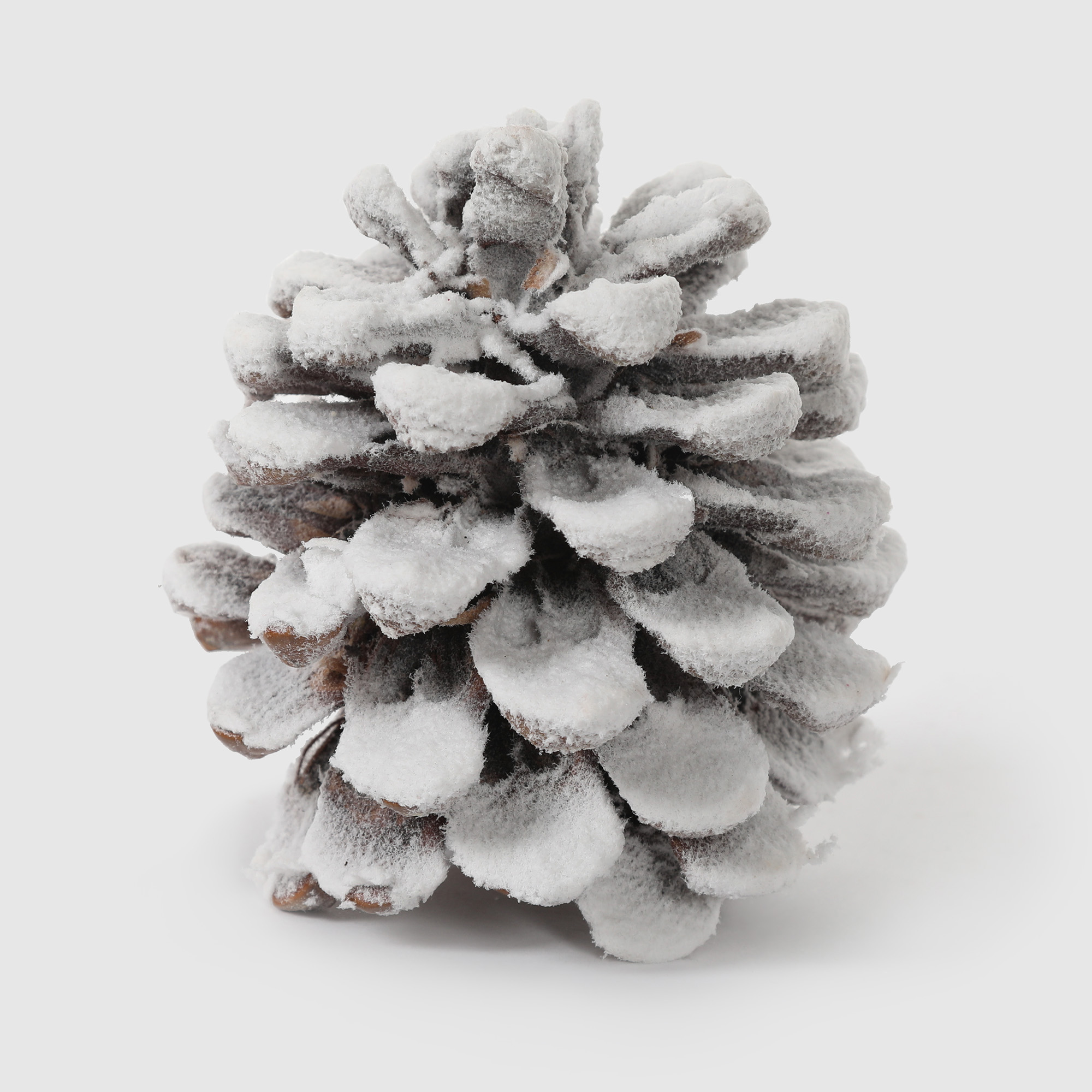 Шишка Dekor pap со снегом 12 см