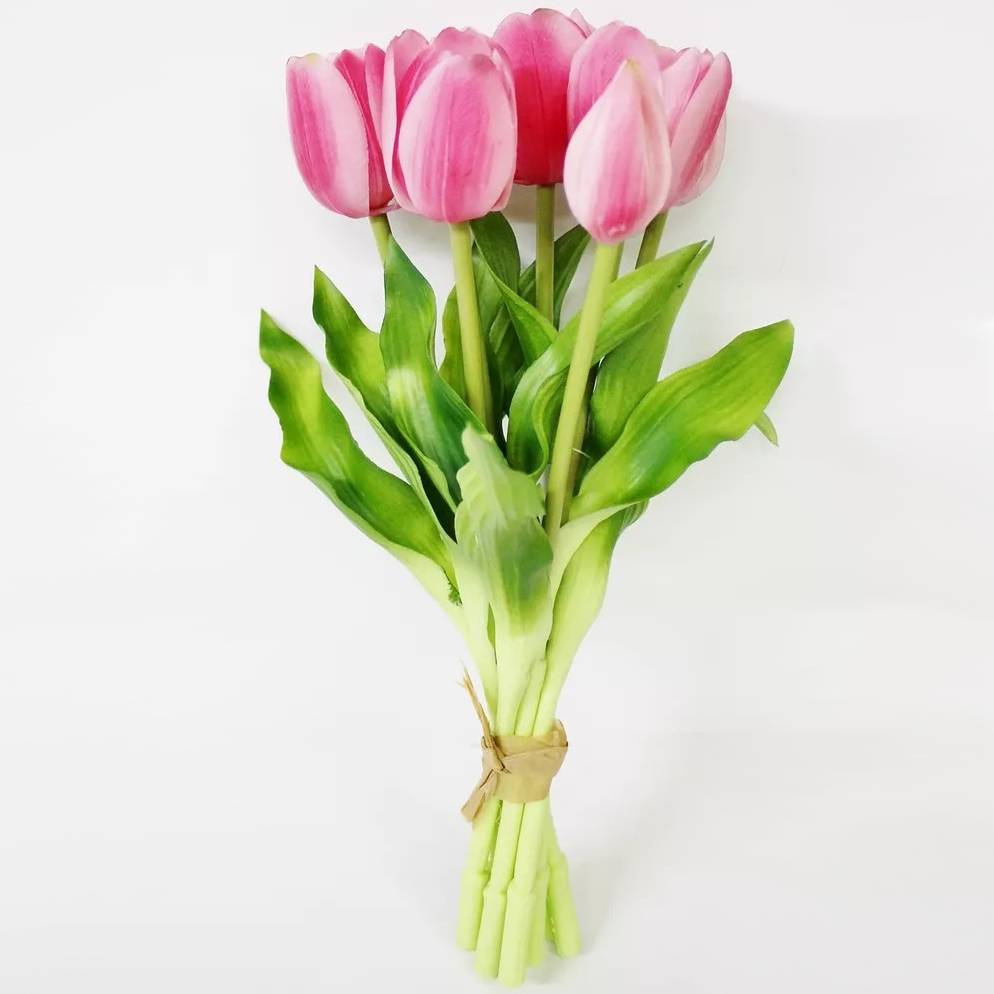 Связка тюльпанов Конэко-О KR_10147 30 см 7 шт