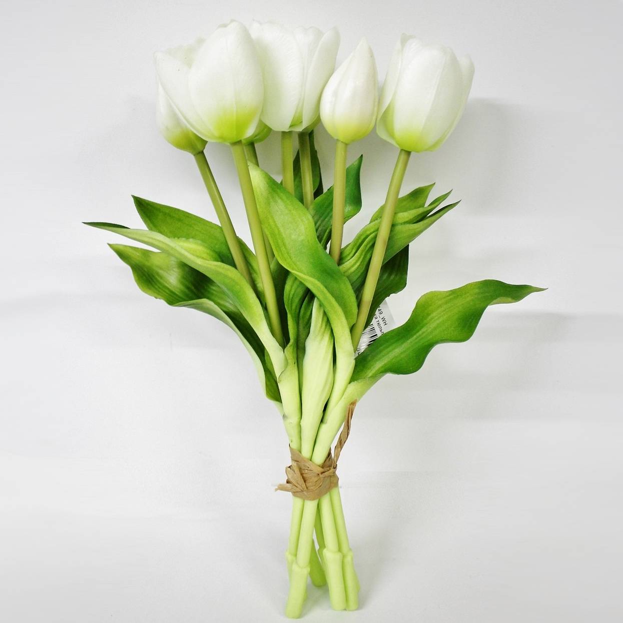 Связка тюльпанов Конэко-О KR_10149 30 см 7 шт, цвет зеленый - фото 1
