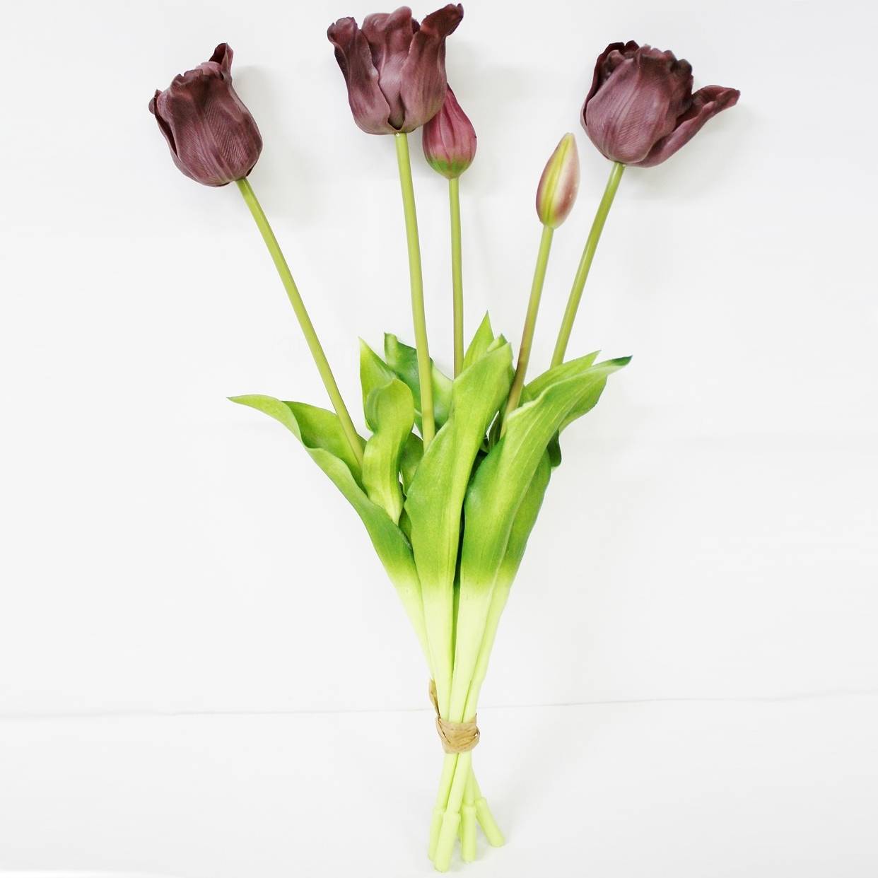 Связка тюльпанов Конэко-О KR_10151 45 см 5 шт, цвет зеленый