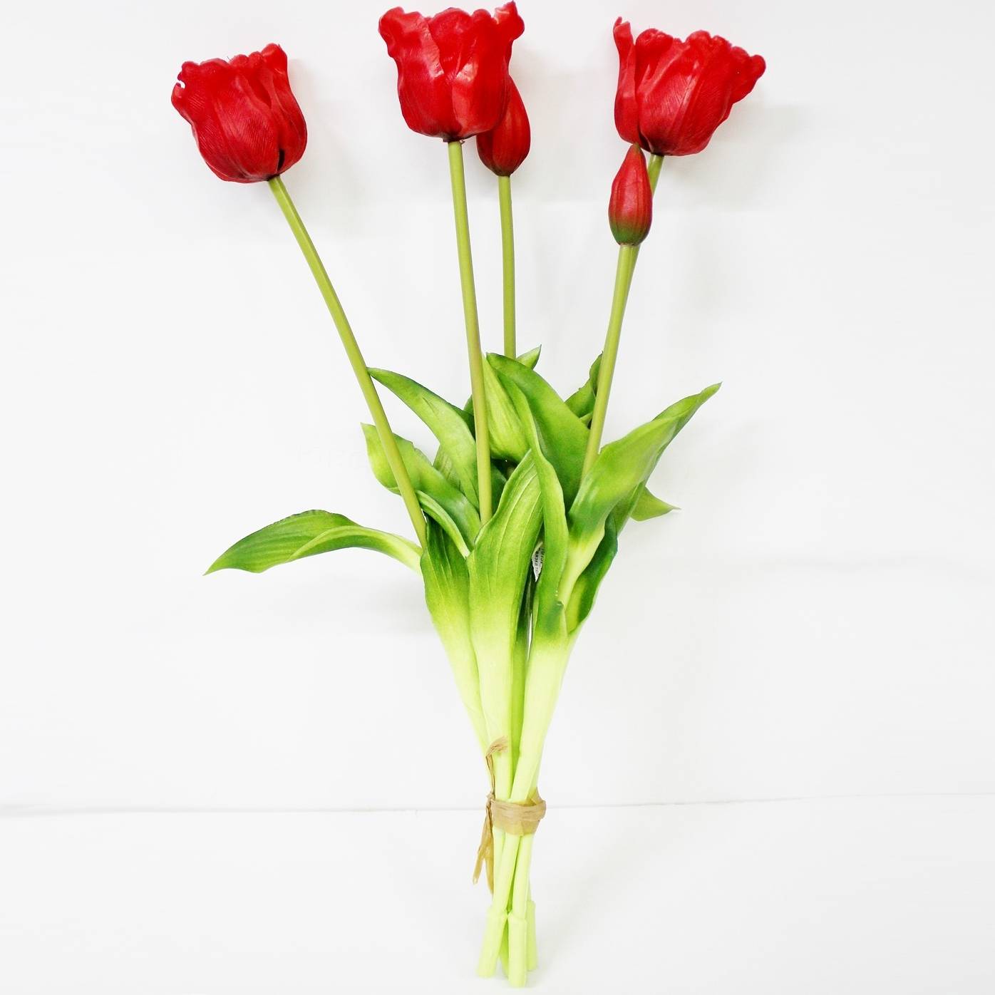 Связка тюльпанов Конэко-О KR_10152 45 см 5 шт, цвет зеленый