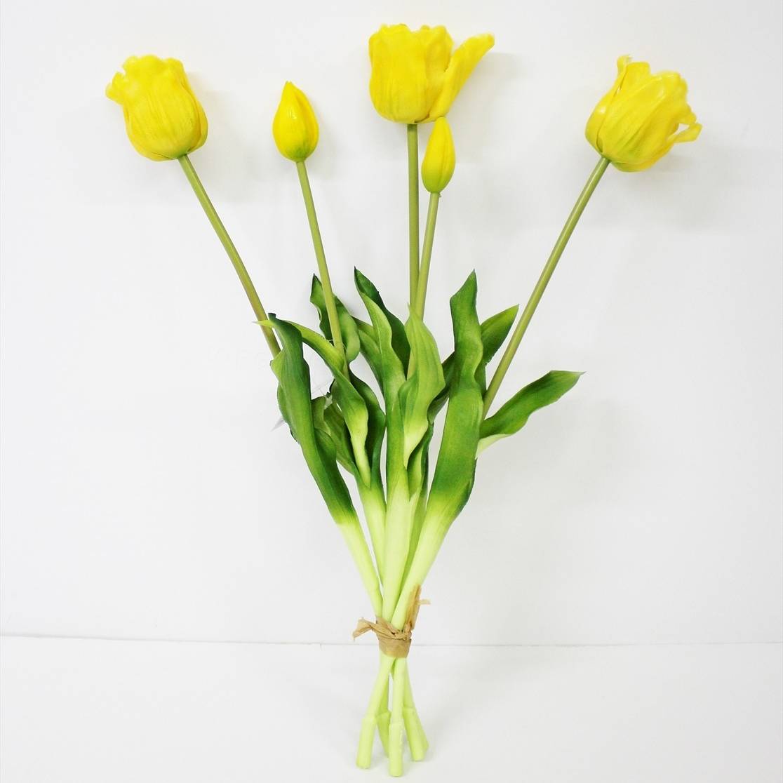 Связка тюльпанов Конэко-О KR_10153 45 см 5 шт, цвет зеленый