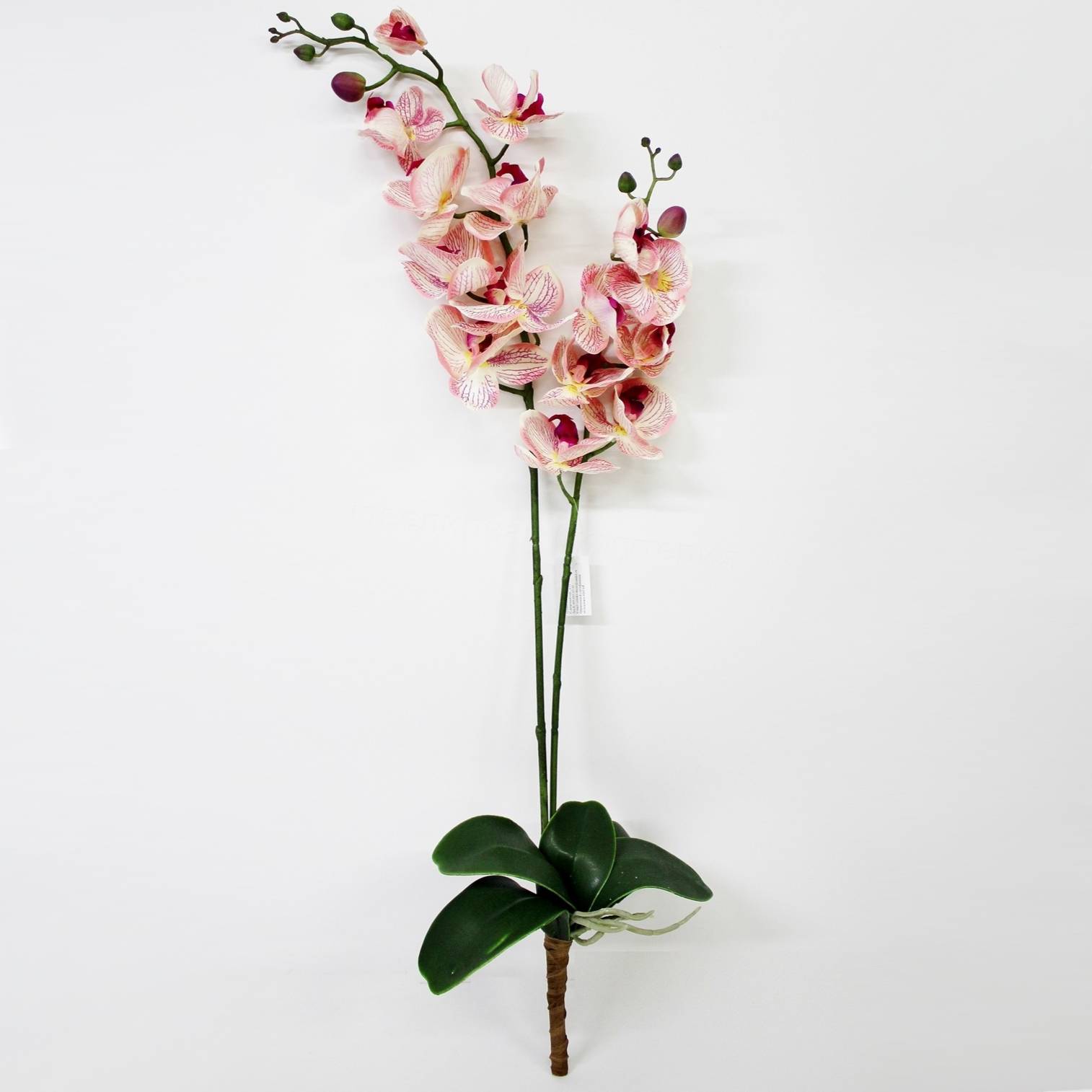 Орхидея фаленопсис с листьями Конэко-О KR_791 90 см