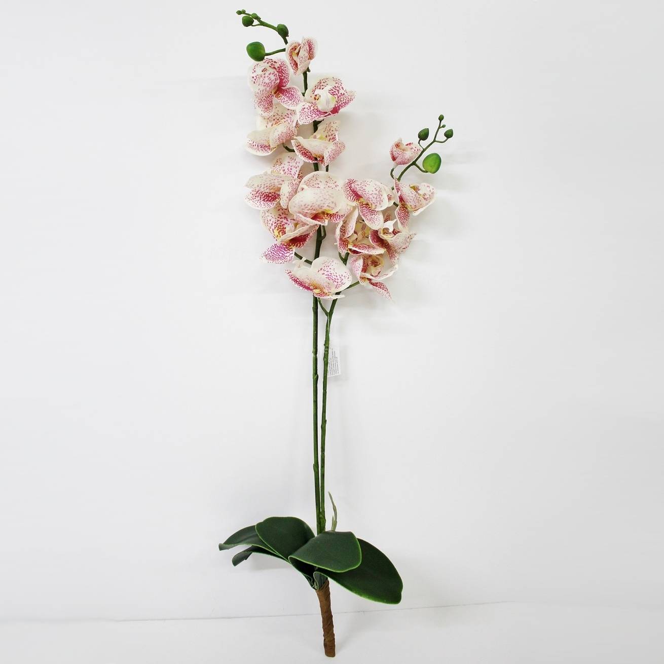сциндапcус конэко о ампельный искусственный с листьями из латекса 90 см Орхидея фаленопсис с листьями Конэко-О KR_829 90 см