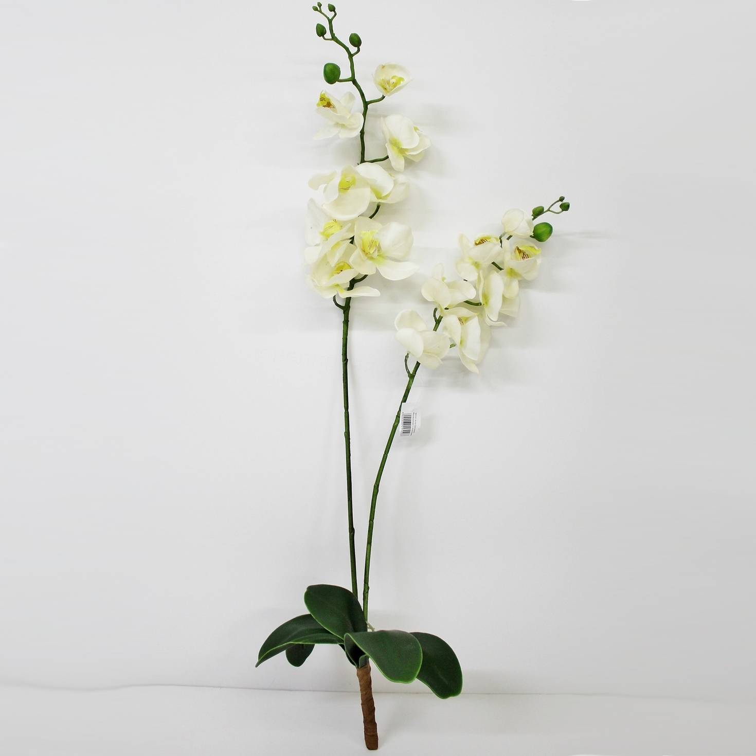 Орхидея фаленопсис с листьями Конэко-О KR_831 90 см