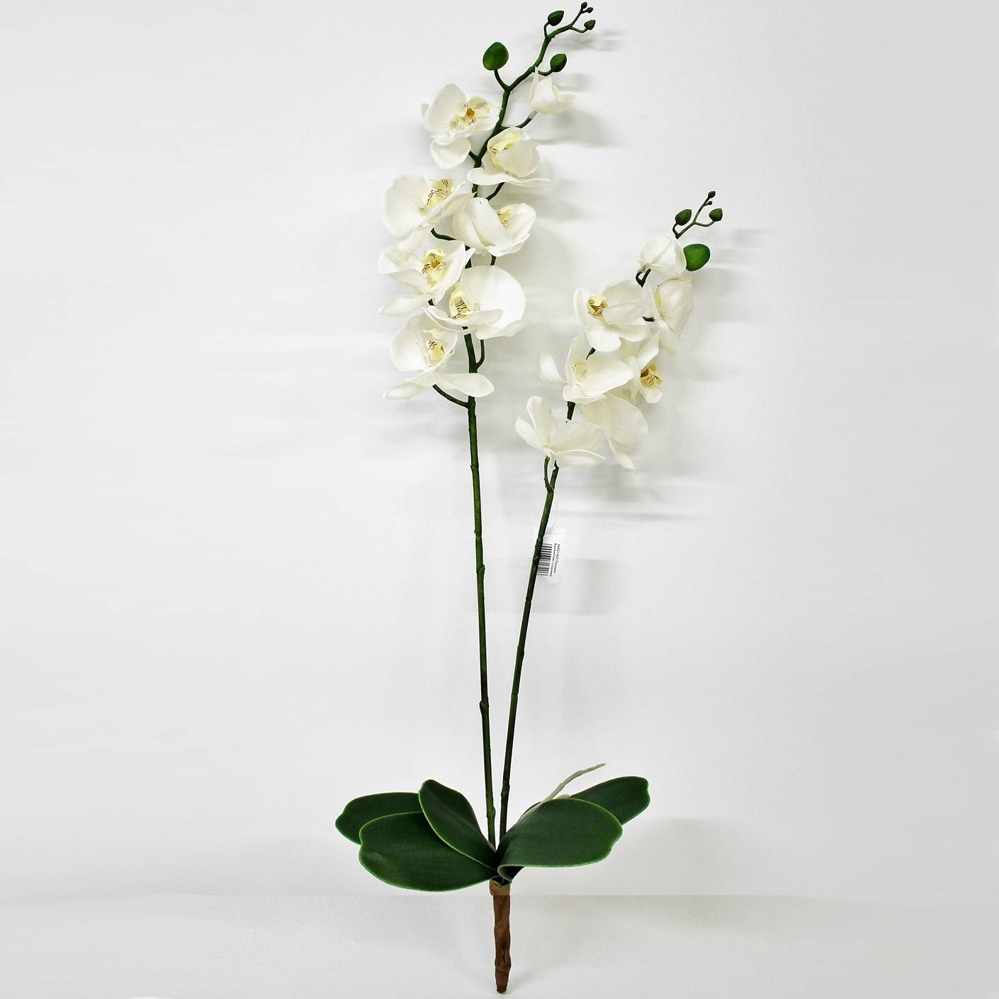 Орхидея фаленопсис с листьями Конэко-О KR_848 90 см орхидея фаленопсис конэко о в кашпо 70 см