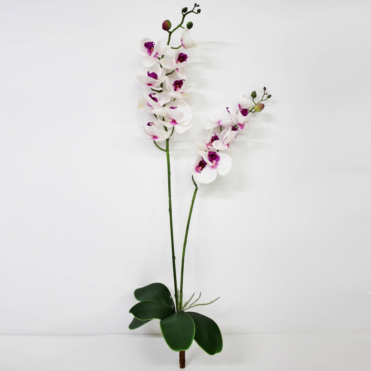 сциндапcус конэко о ампельный искусственный с листьями из латекса 90 см Орхидея фаленопсис с листьями Конэко-О KR_857 90 см