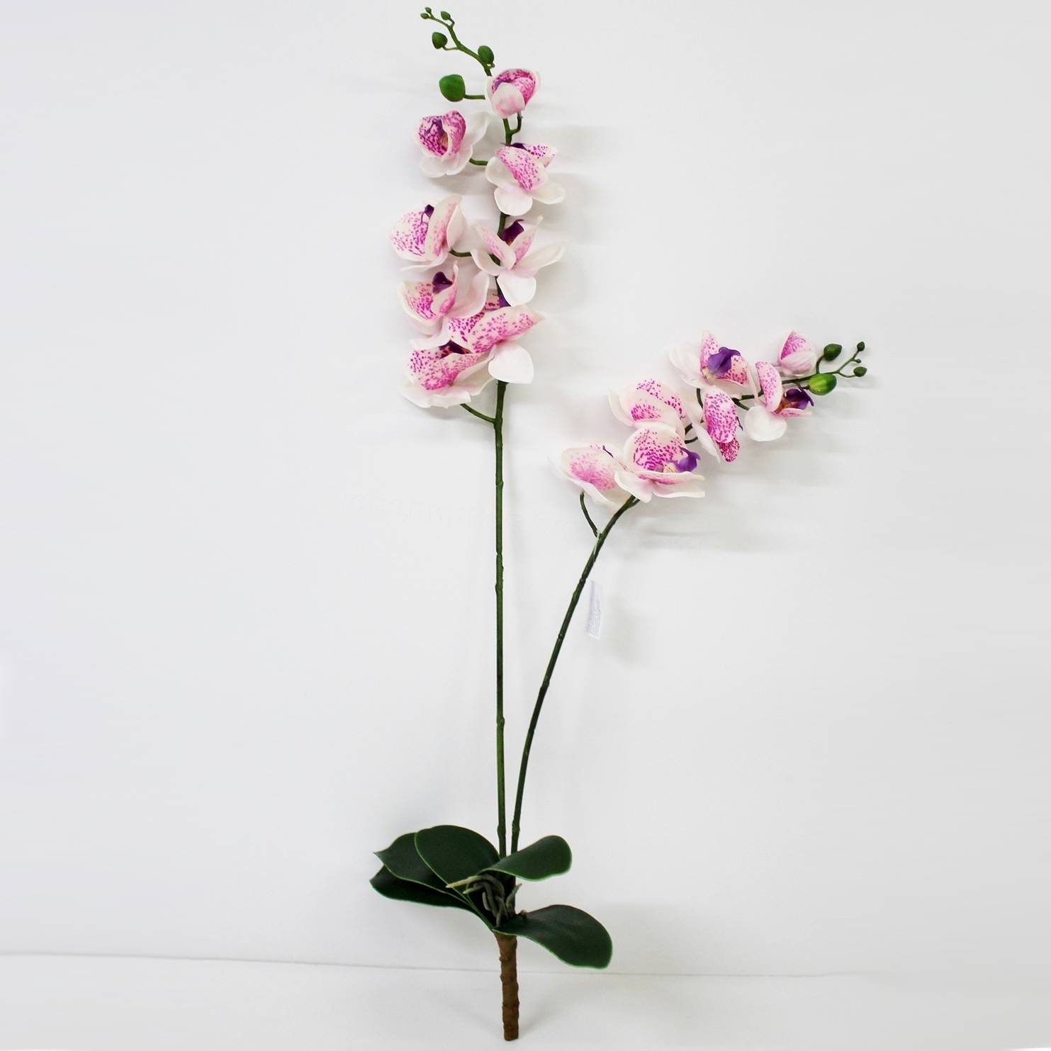 Орхидея фаленопсис с листьями Конэко-О KR_882 90 см