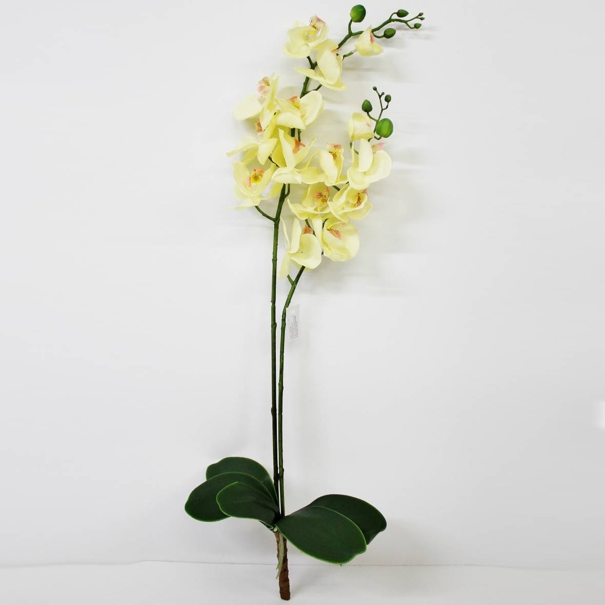 Орхидея фаленопсис с листьями Конэко-О KR_998 90 см орхидея фаленопсис конэко о в кашпо 70 см