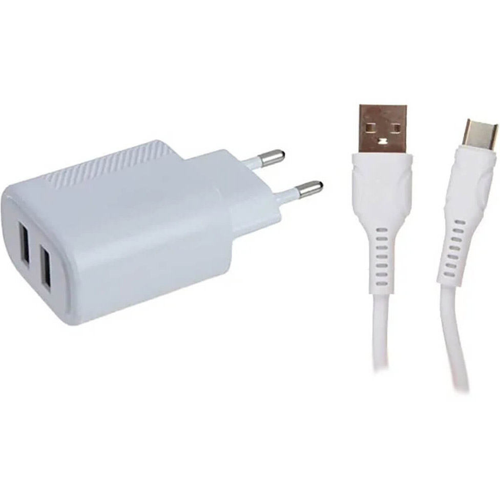 Сетевое зарядное устройство Red Line NT-5 (USB Type-C) белый цена и фото
