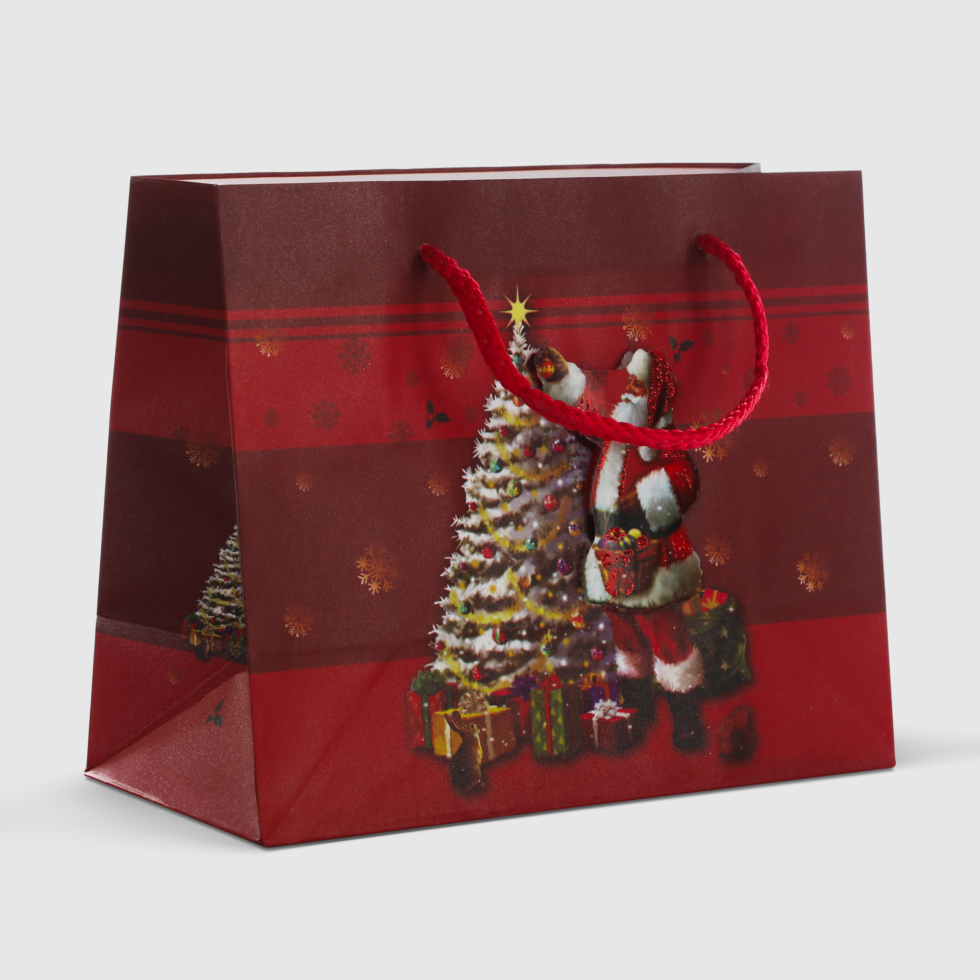 Пакет подарочный Due Esse Christmas babbo natale 3D 18x10x23 см