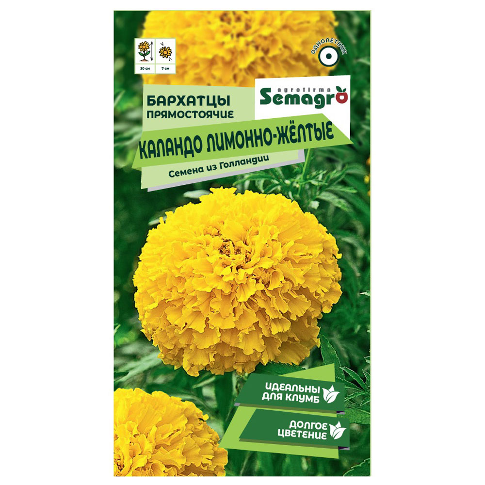 Семена Semagro бархатца каландо лимонно-жёлтые бархатцы отклоненные фестиваль 0 5 гр