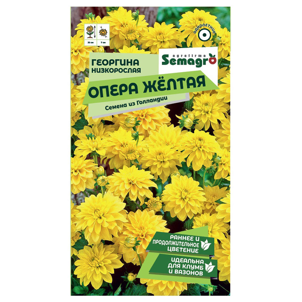 тролль ангелика выбираем цветы травы кустарники для клумб цветников бордюров Семена Semagro георгины низкорослой опера жёлтая