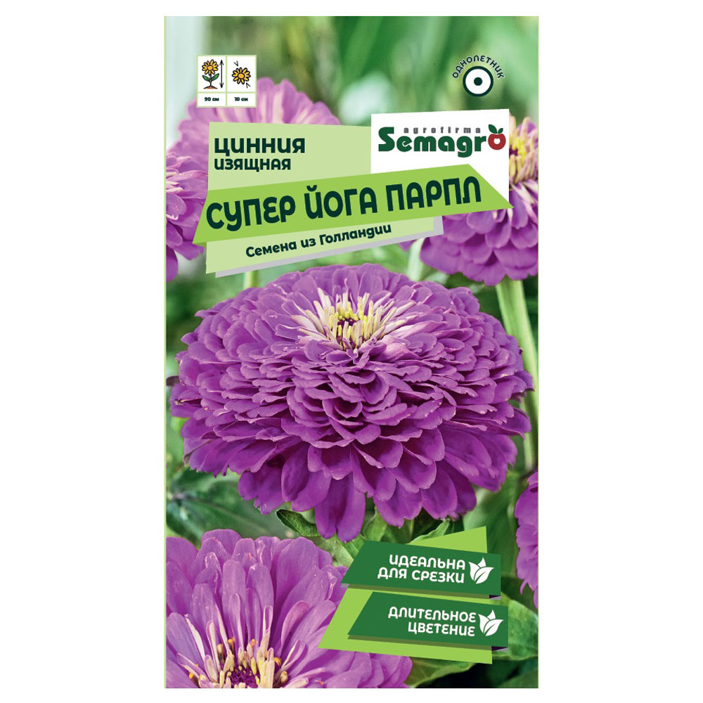 Семена Semagro цинния изящной супер йога парпл цинния пурпурный принц