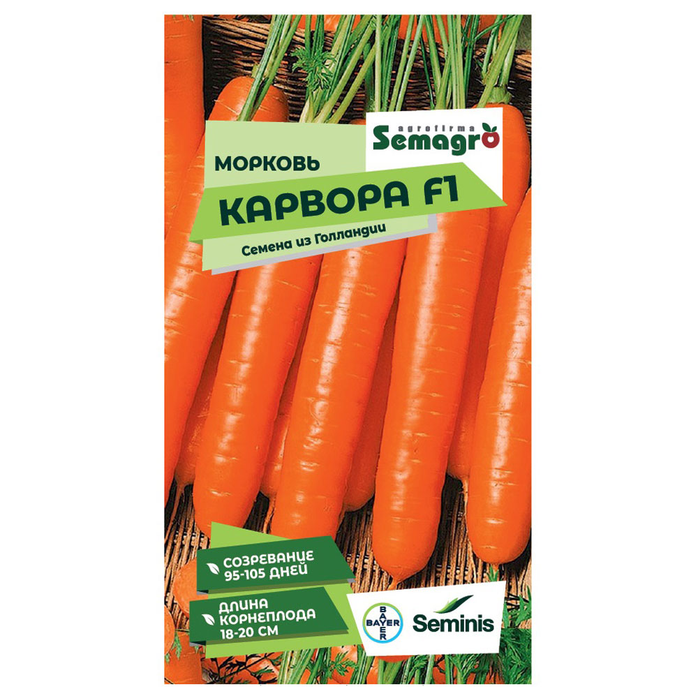 Семена Seminis морковь карвора f1