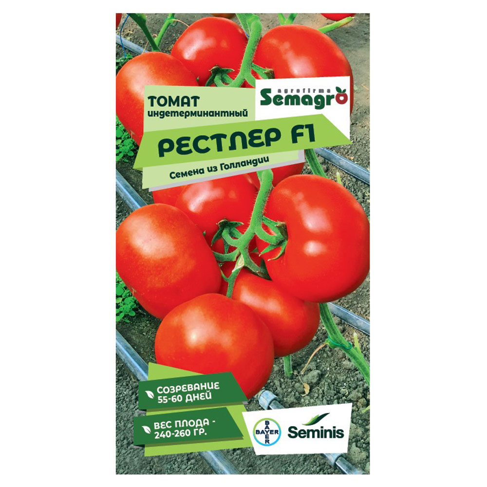 Семена Seminis томат индетерминантный рестлер f1 томат яки f1 seminis семком 10шт цв п