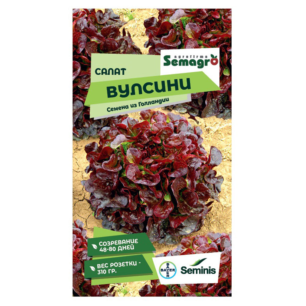 Семена Seminis салат вулсини кресс салат данский 1 гр цв п