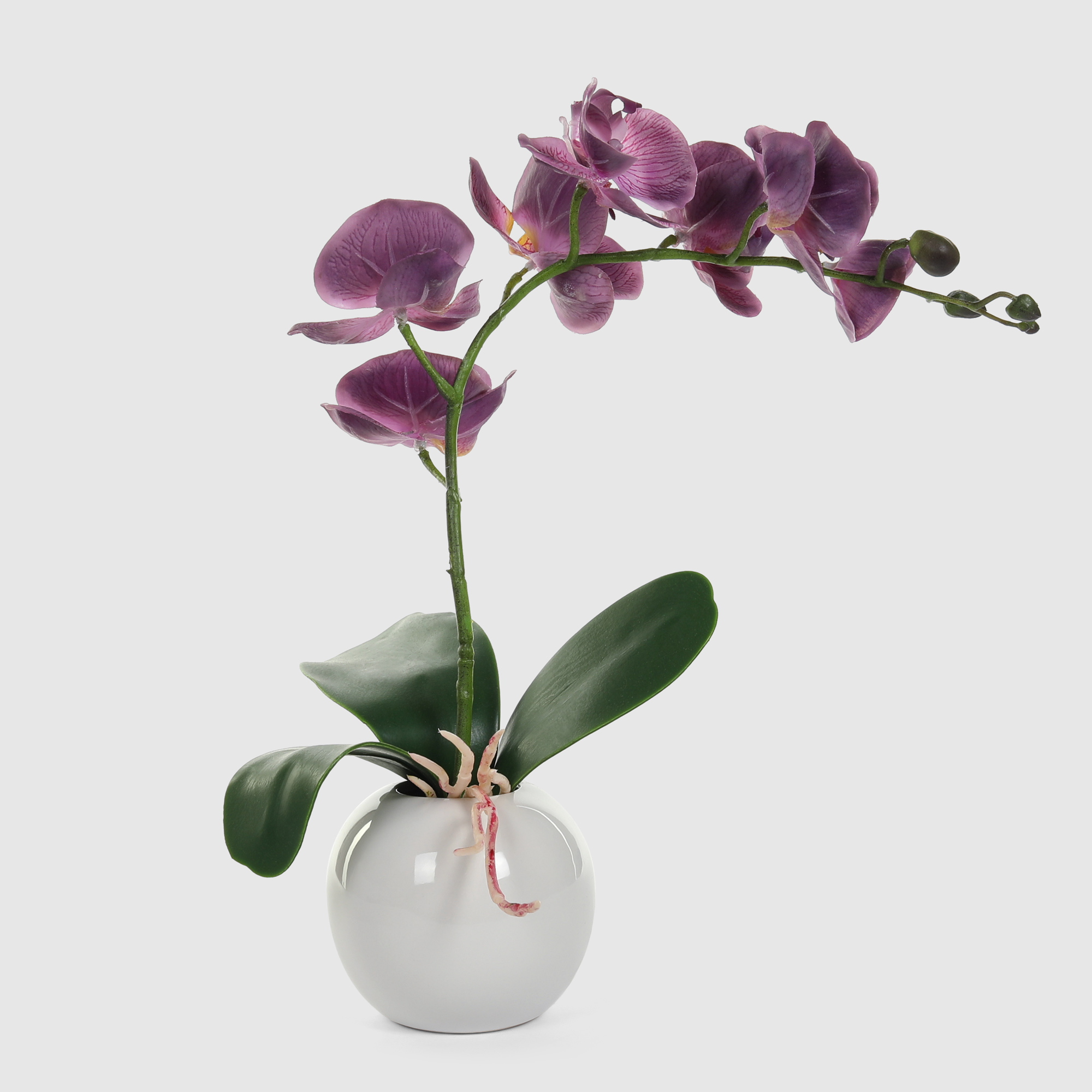 Орхидея в белом кашпо Конэко-О 572_10163185 40 см, цвет зеленый