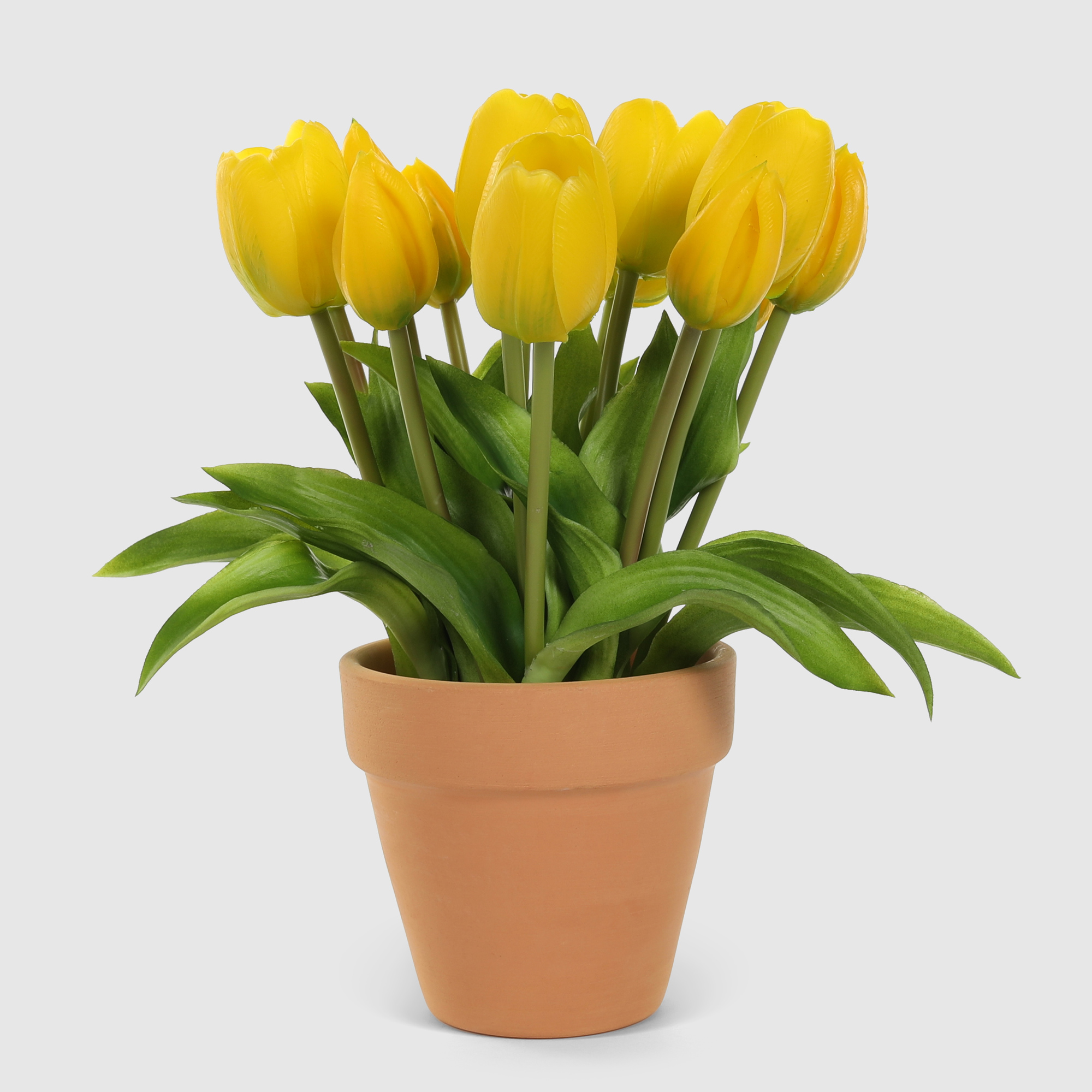 Букет тюльпанов Конэко-О 10146x2 в коричневом кашпо 28 см, цвет желтый - фото 1