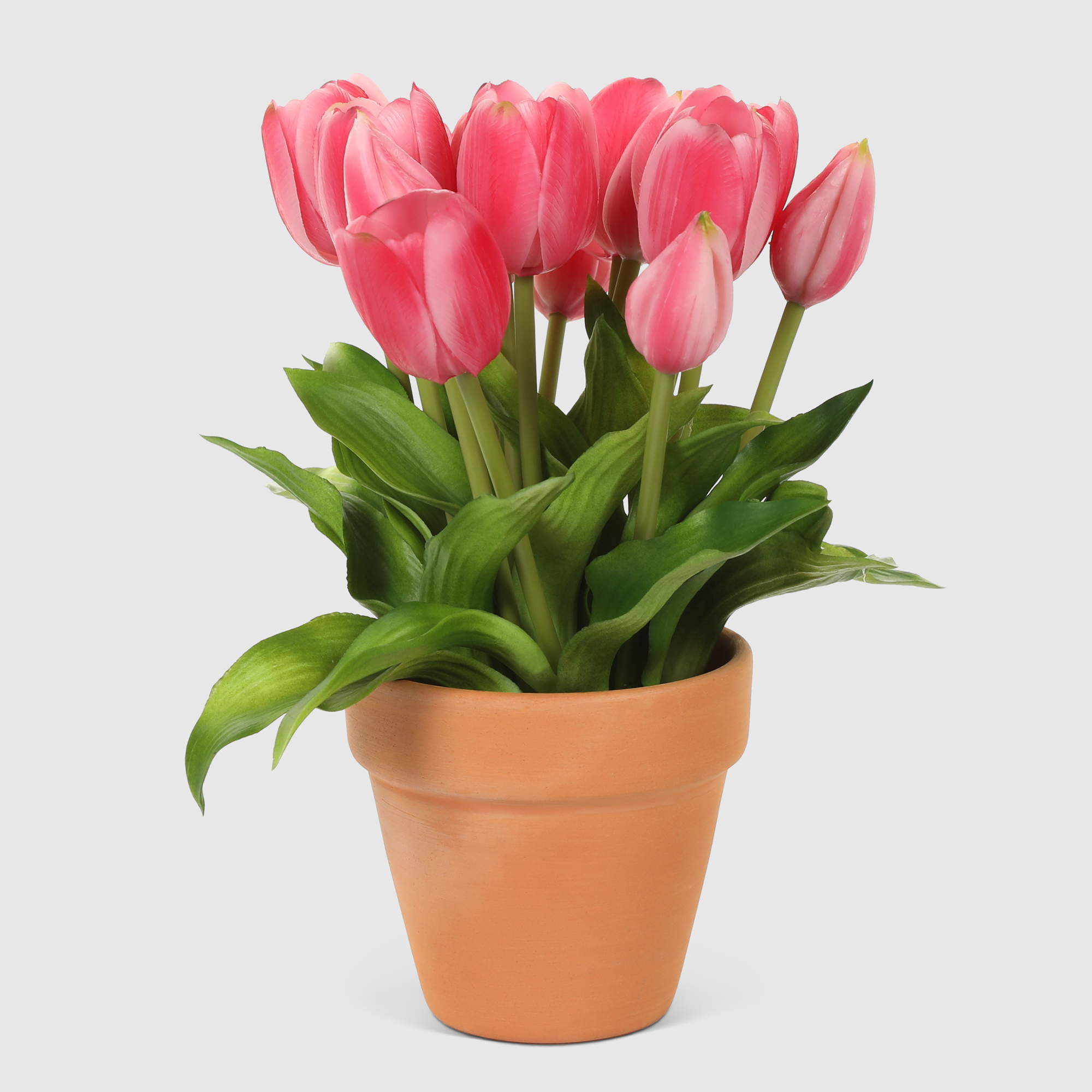 Букет тюльпанов Конэко-О 10147x3 в коричневом кашпо 28 см, цвет розовый - фото 1