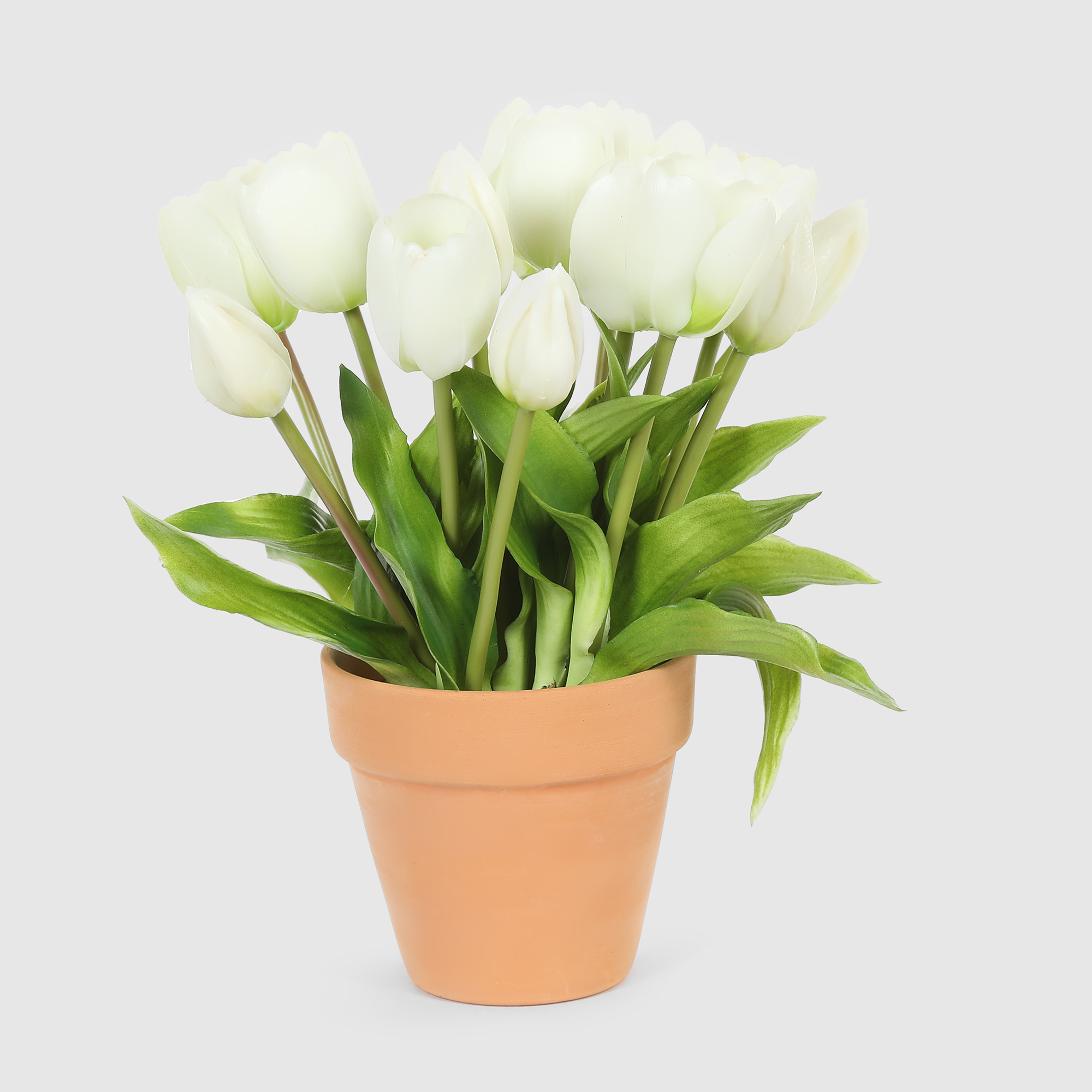 Букет тюльпанов в коричневом кашпо Конэко-О 10149x2 28 см, цвет зеленый