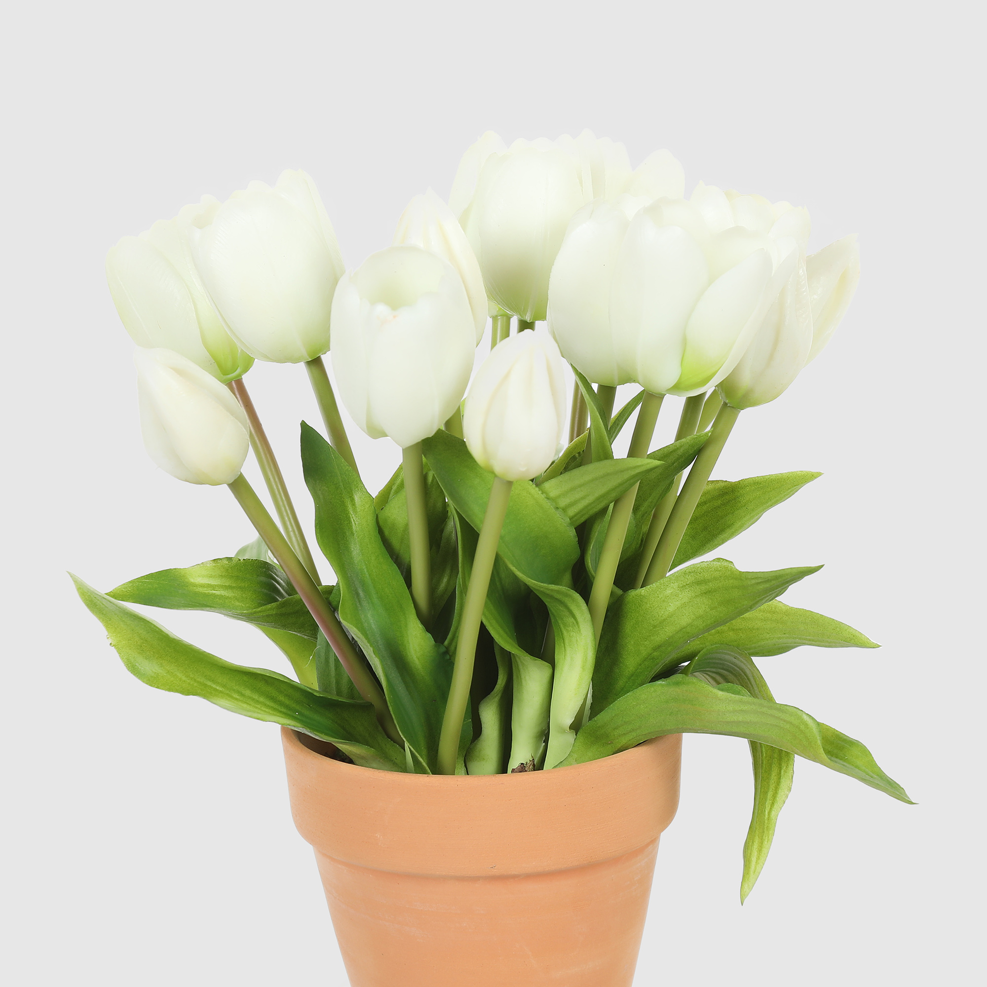 Букет тюльпанов в коричневом кашпо Конэко-О 10149x2 28 см, цвет зеленый - фото 2