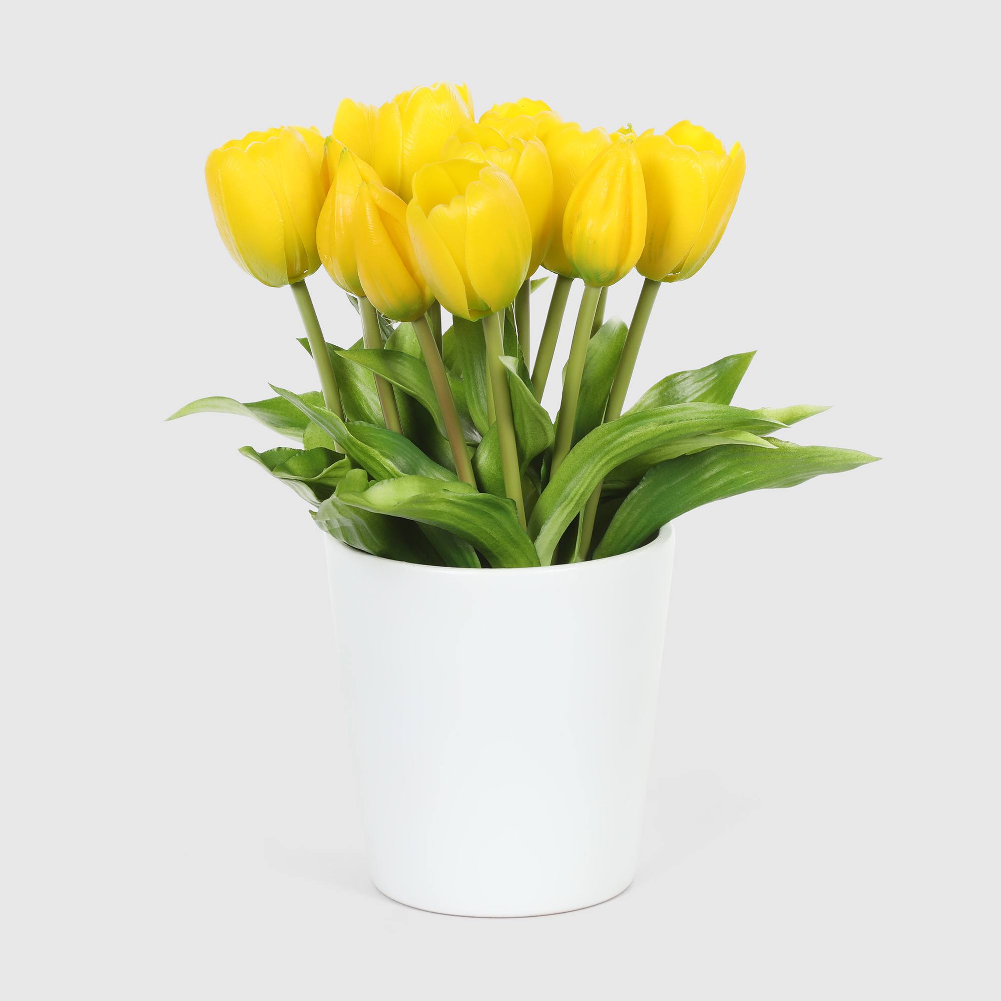Букет тюльпанов в белом кашпо Конэко-О 10146_x2 28 см, цвет зеленый