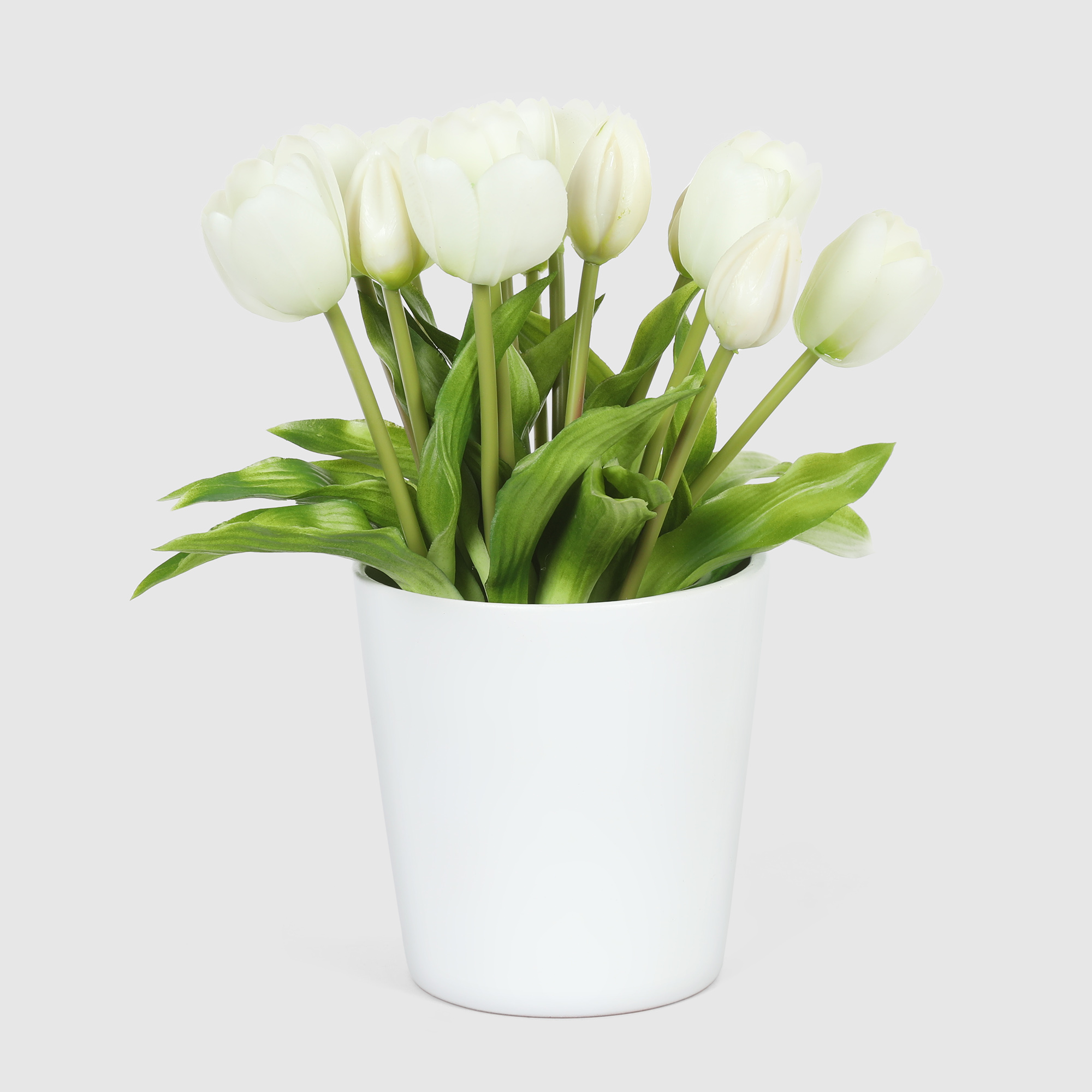 Букет тюльпанов в белом кашпо Конэко-О 10149_x2 28 см, цвет зеленый